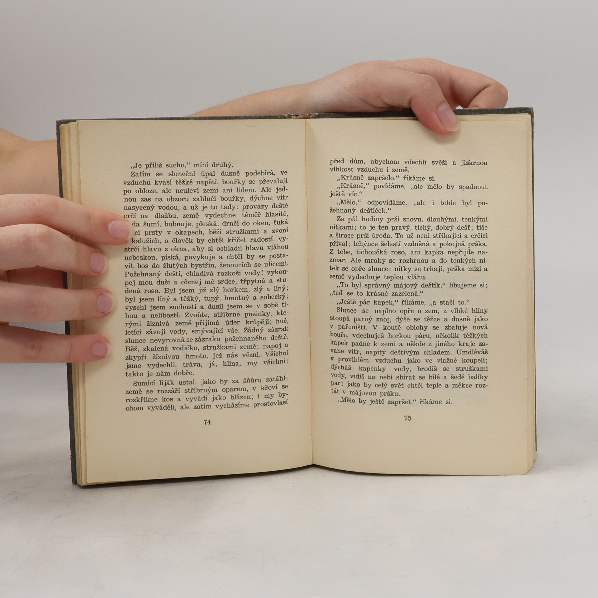 Karel Čapek Spisy bratří Čapků XXIV