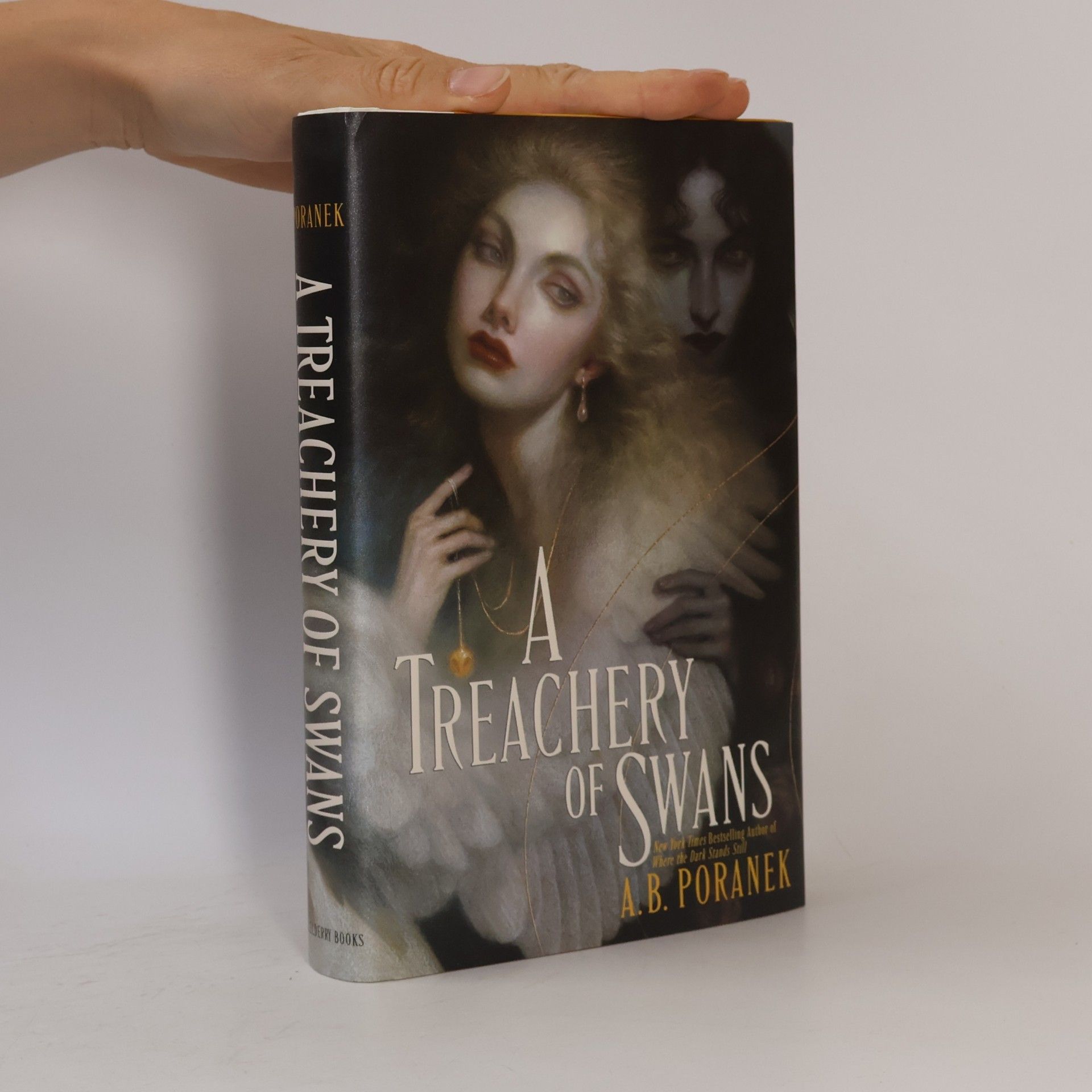 A Treachery of Swans
