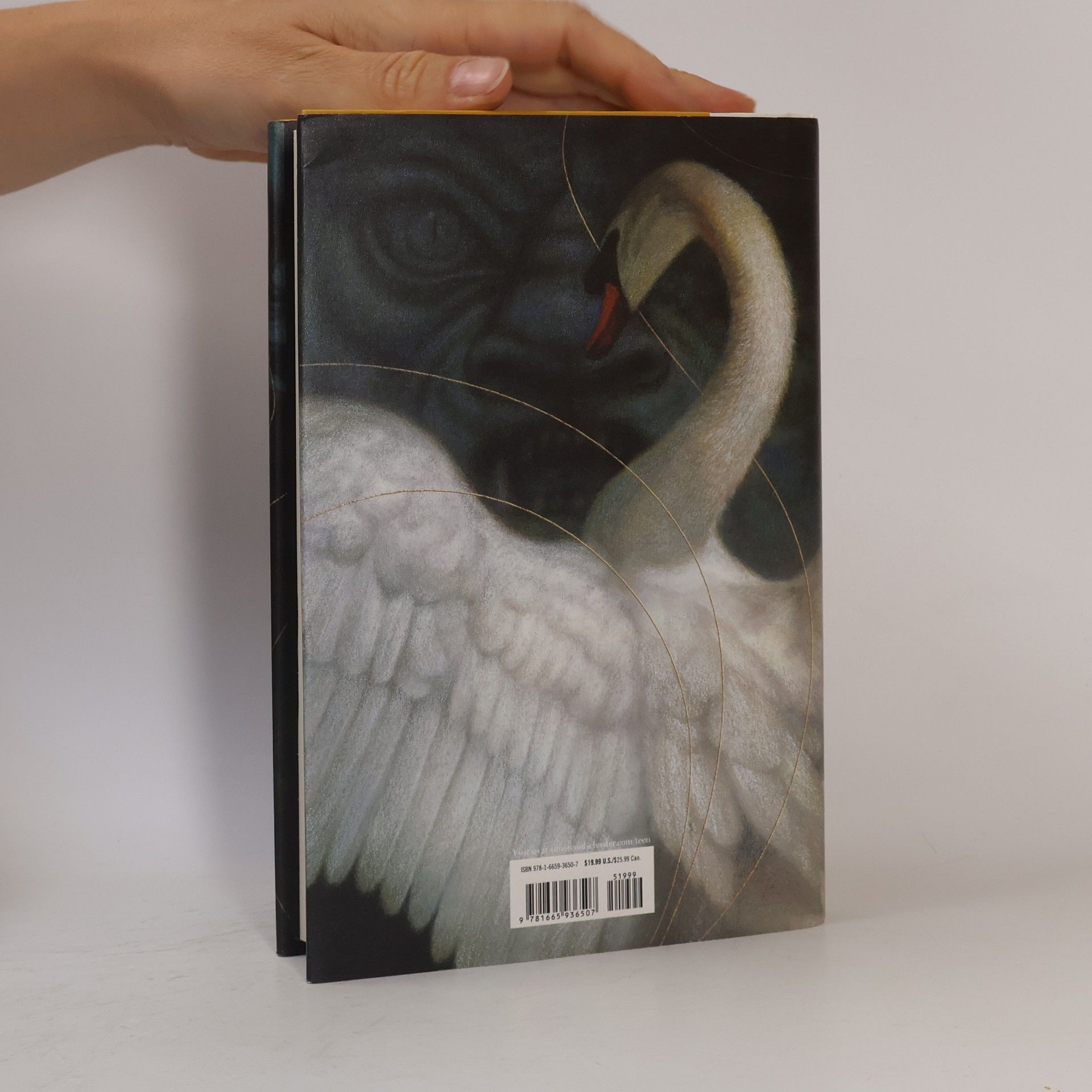A. B. Poranek A Treachery of Swans