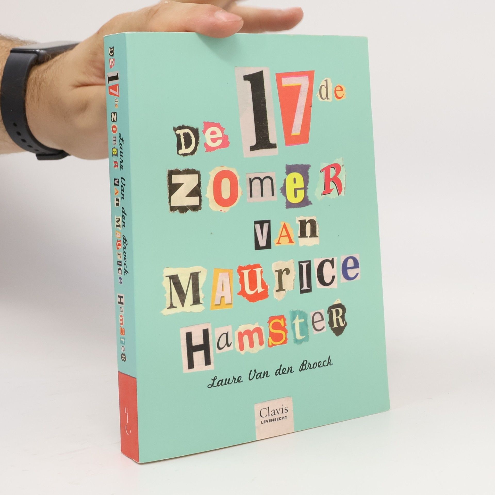 Laure Van den Broeck De 17e zomer van Maurice Hamster