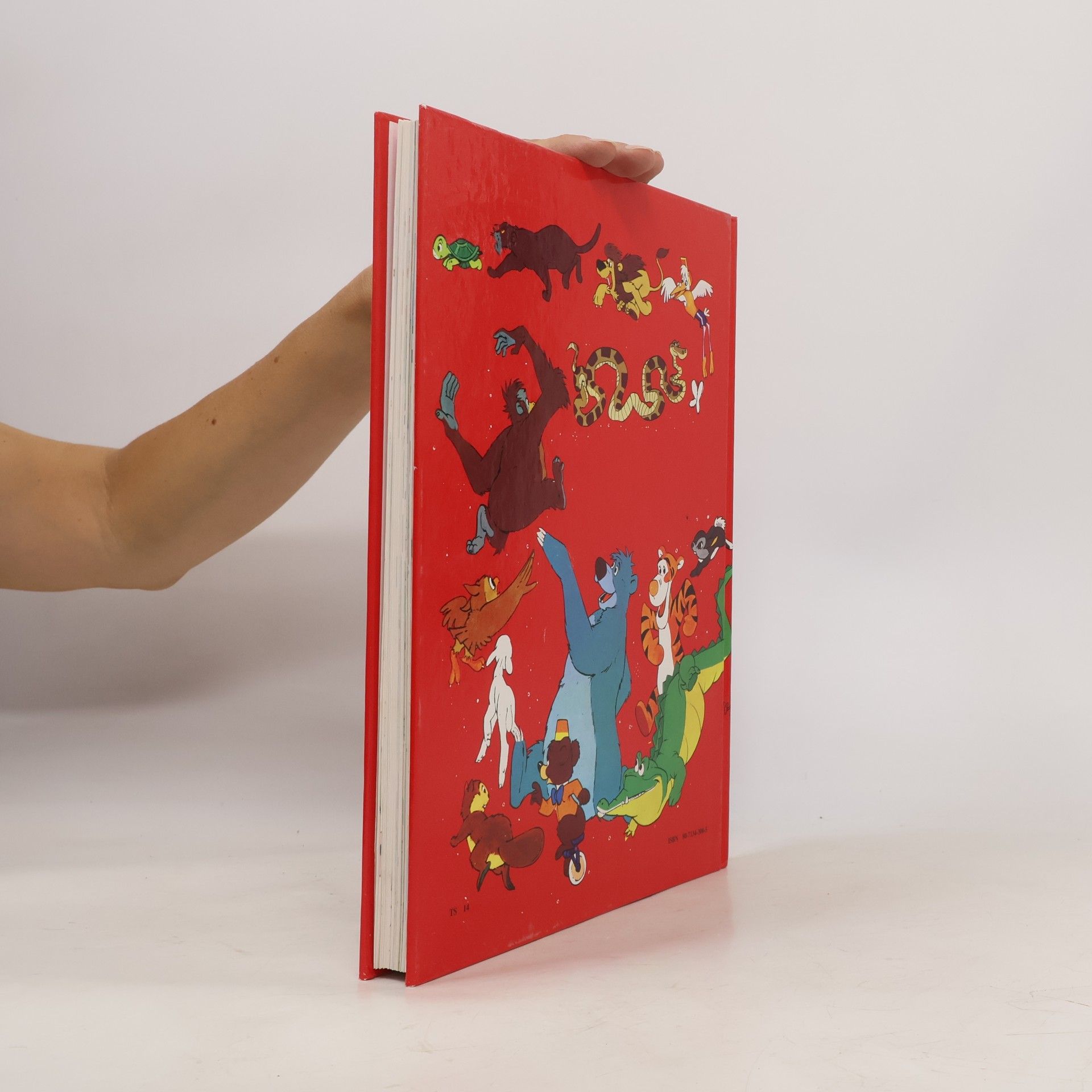 Walt Disney Vel’ký obrázkový slovník anglicko - slovenský