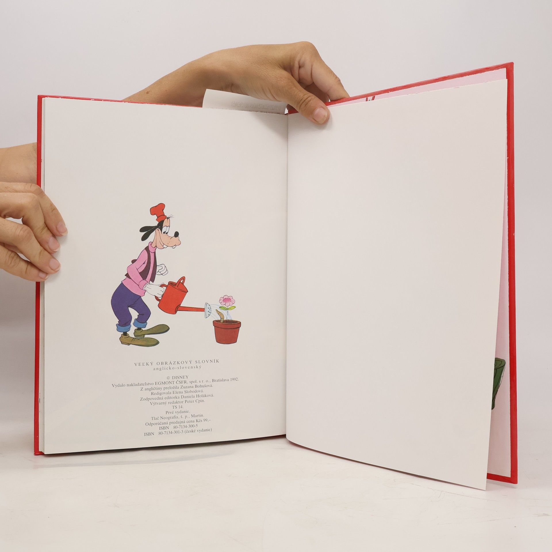 Walt Disney Vel’ký obrázkový slovník anglicko - slovenský