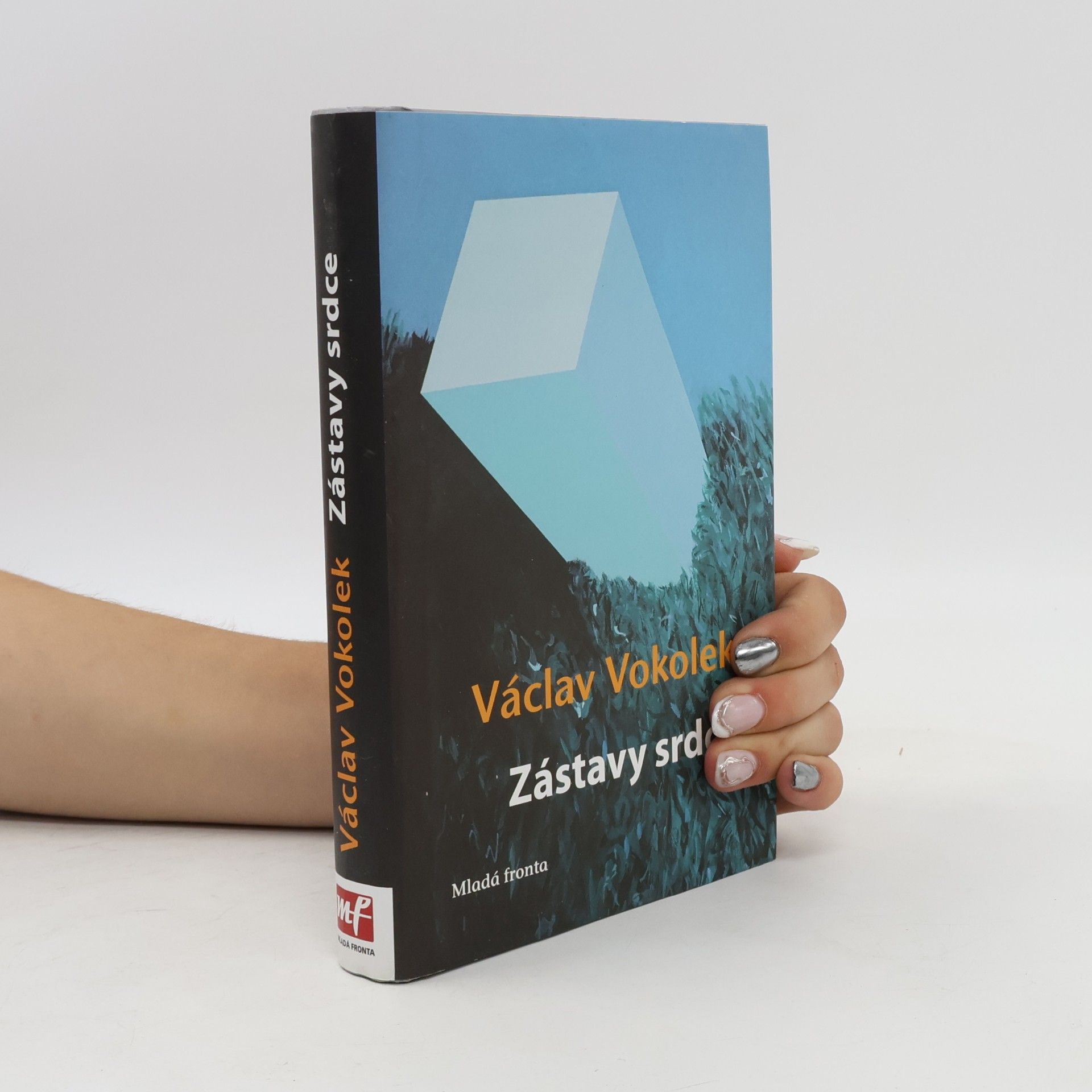 Václav Vokolek Zástavy srdce