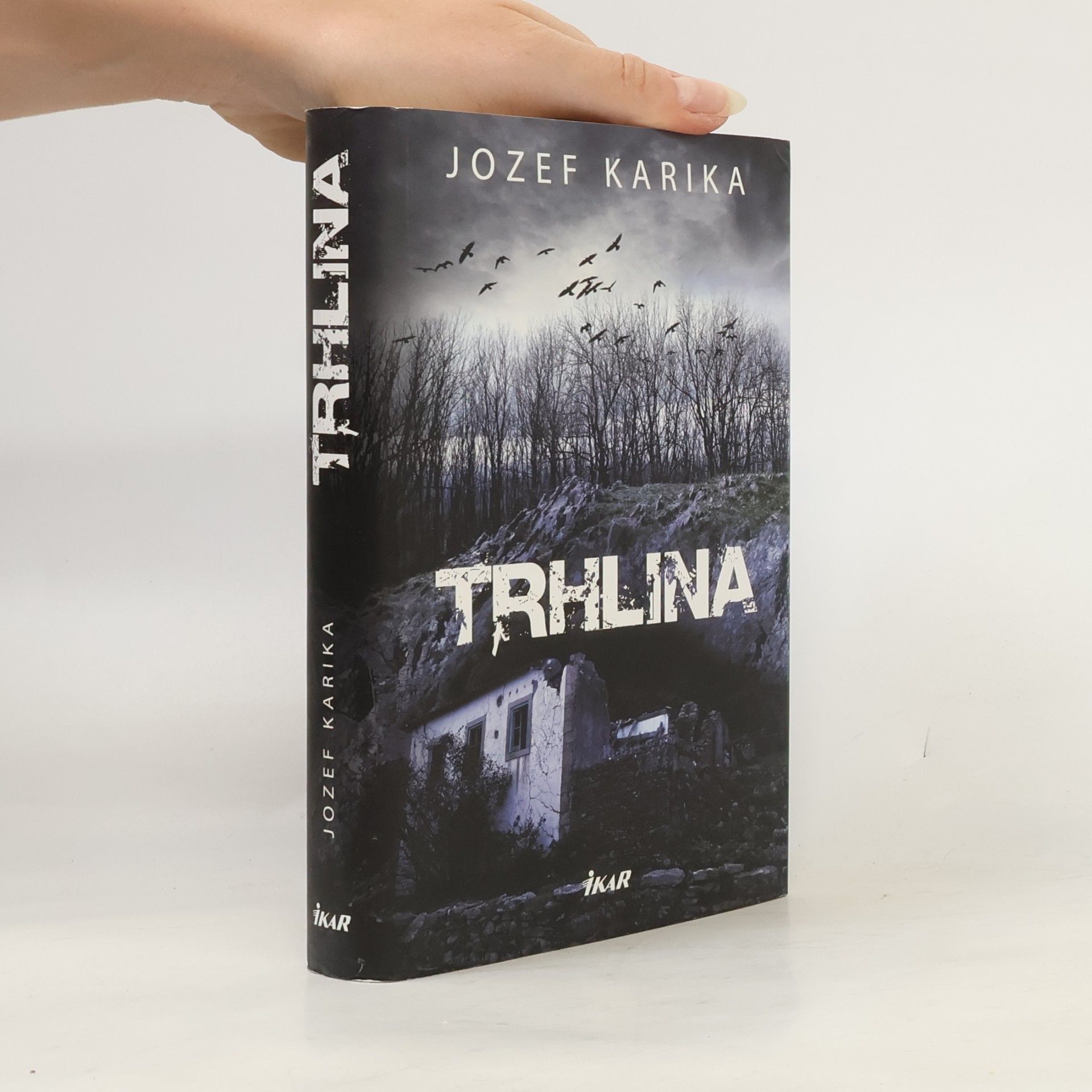 Jozef Karika Trhlina
