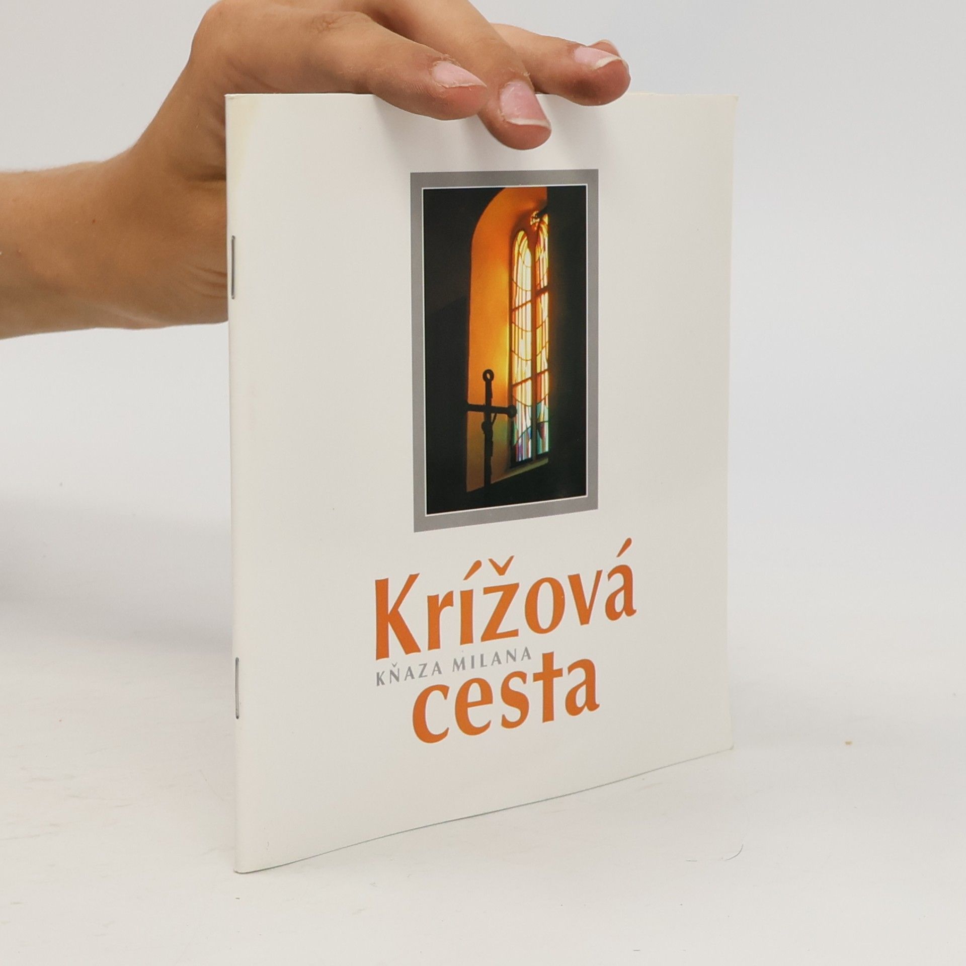 AA.VV. Krížová cesta kňaza Milana