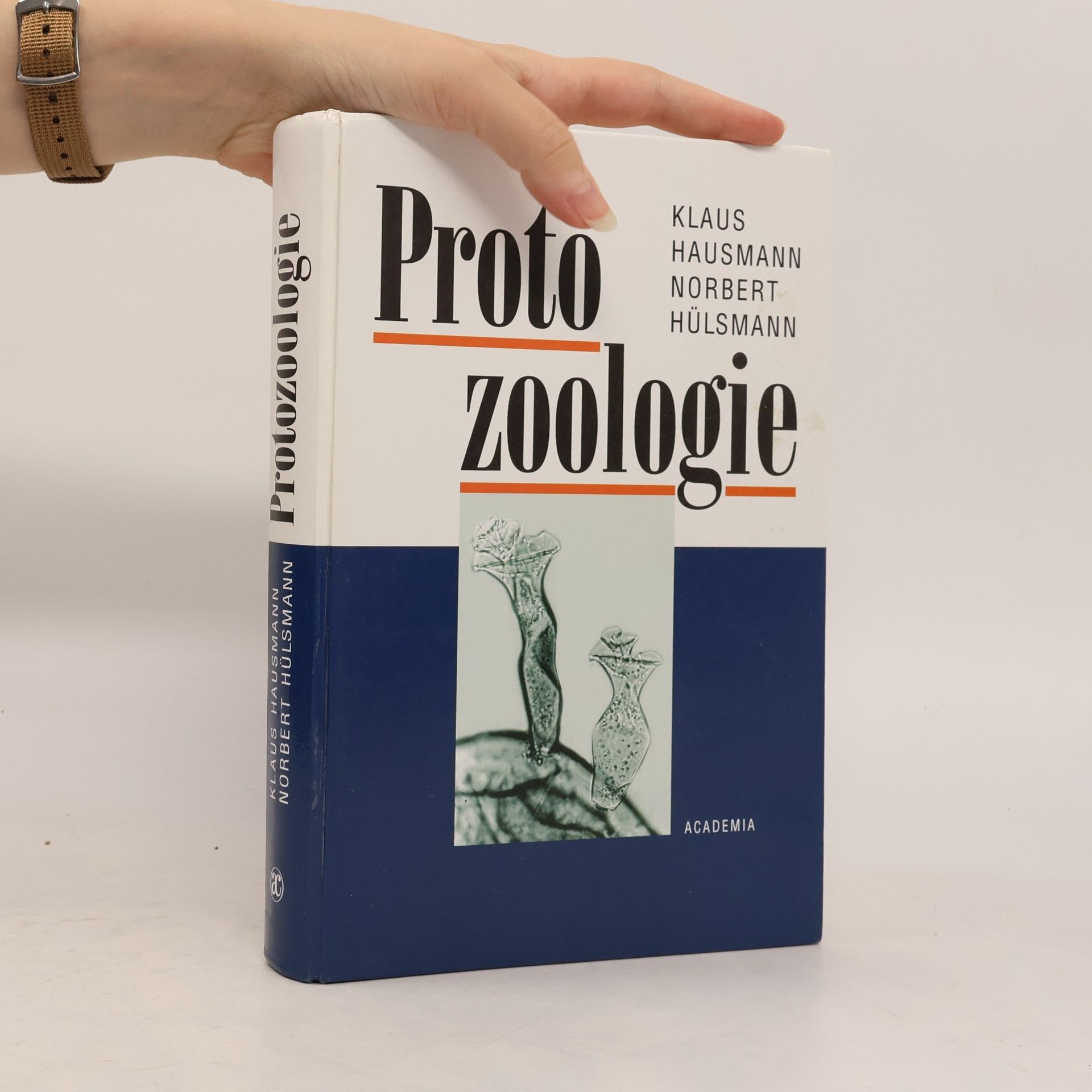 Klaus Hausmann Protozoologie