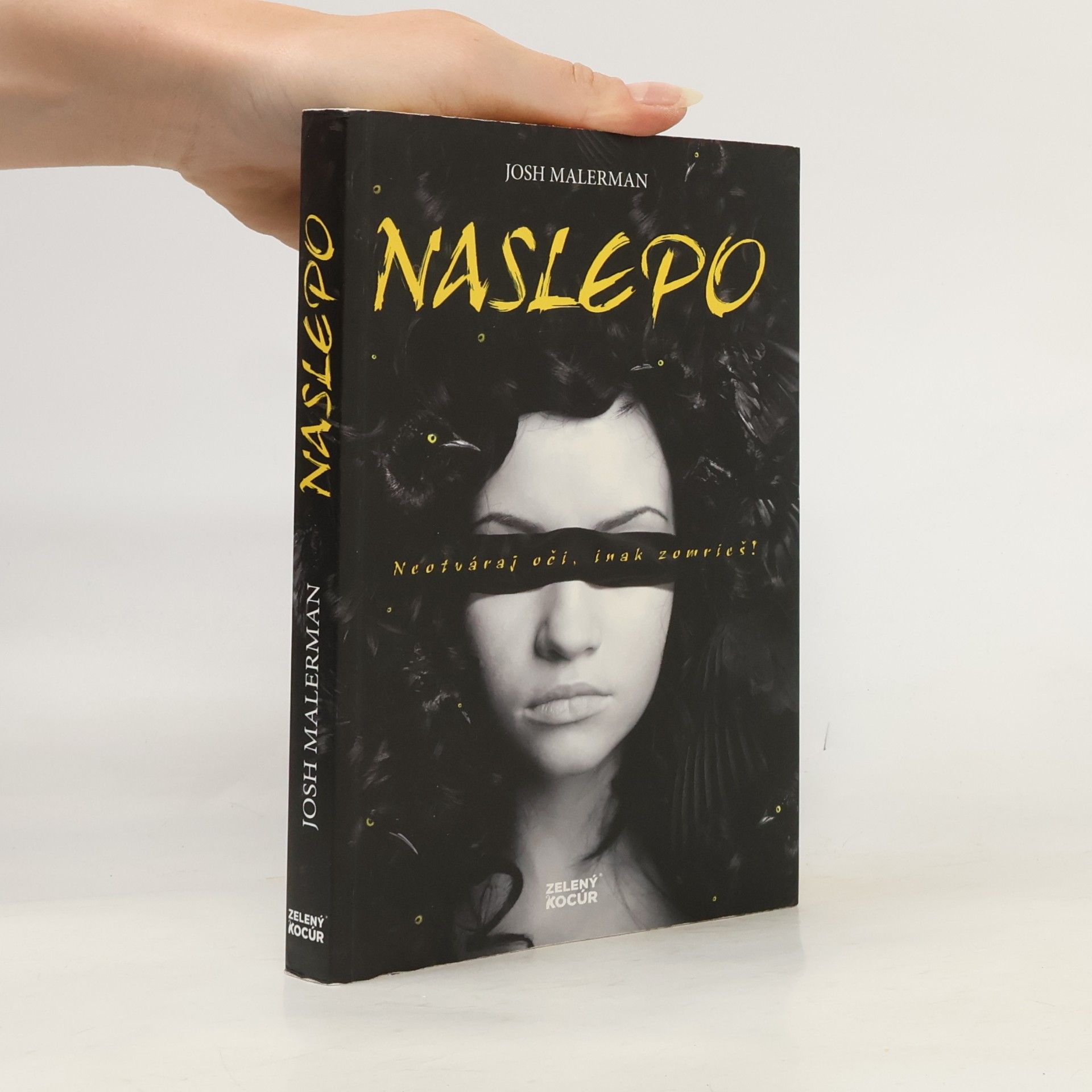Josh Malerman Naslepo