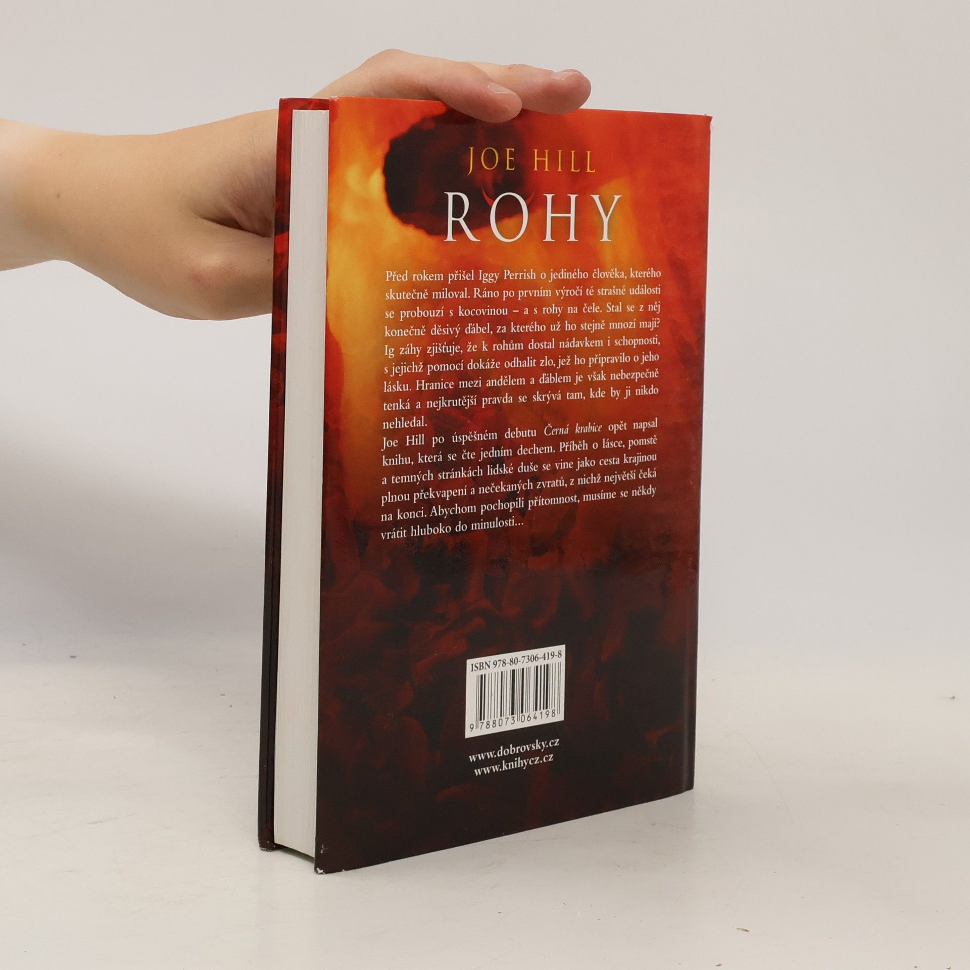Joe Hill Rohy