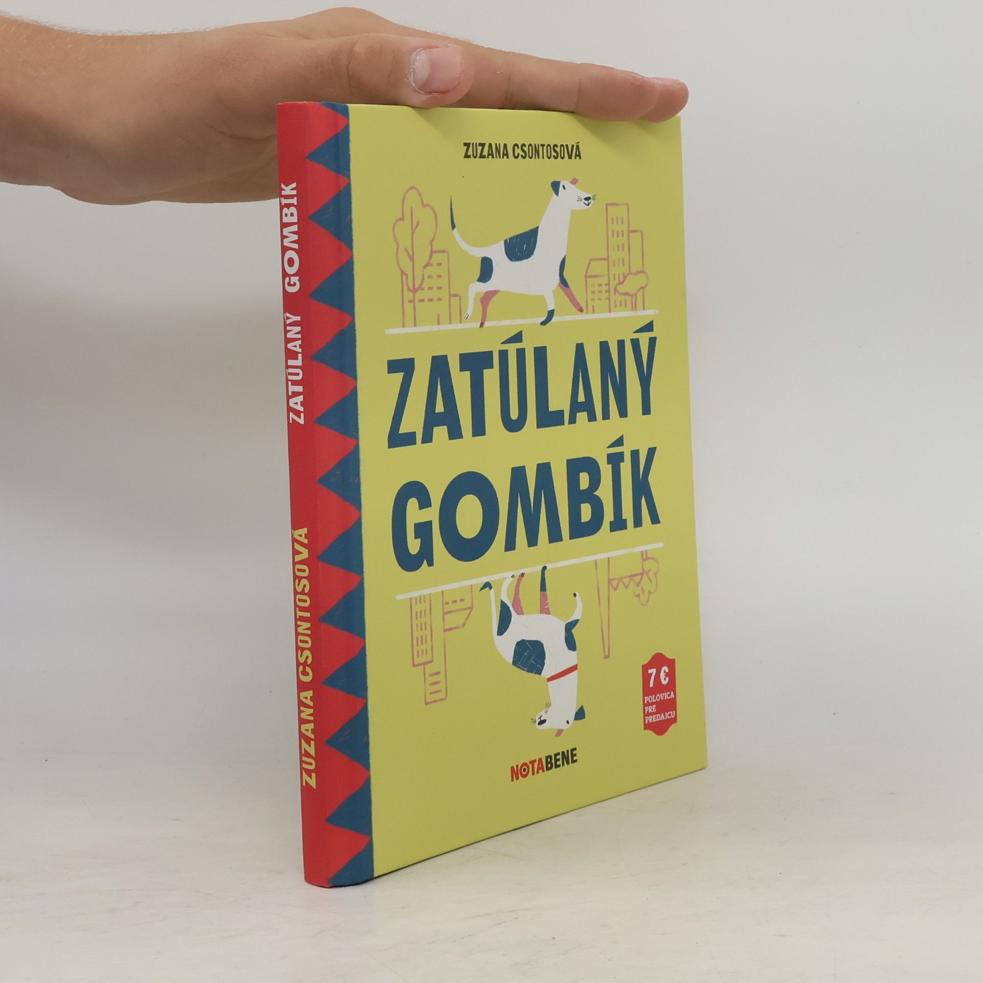 Zuzana Csontosová Zatúlaný gombík