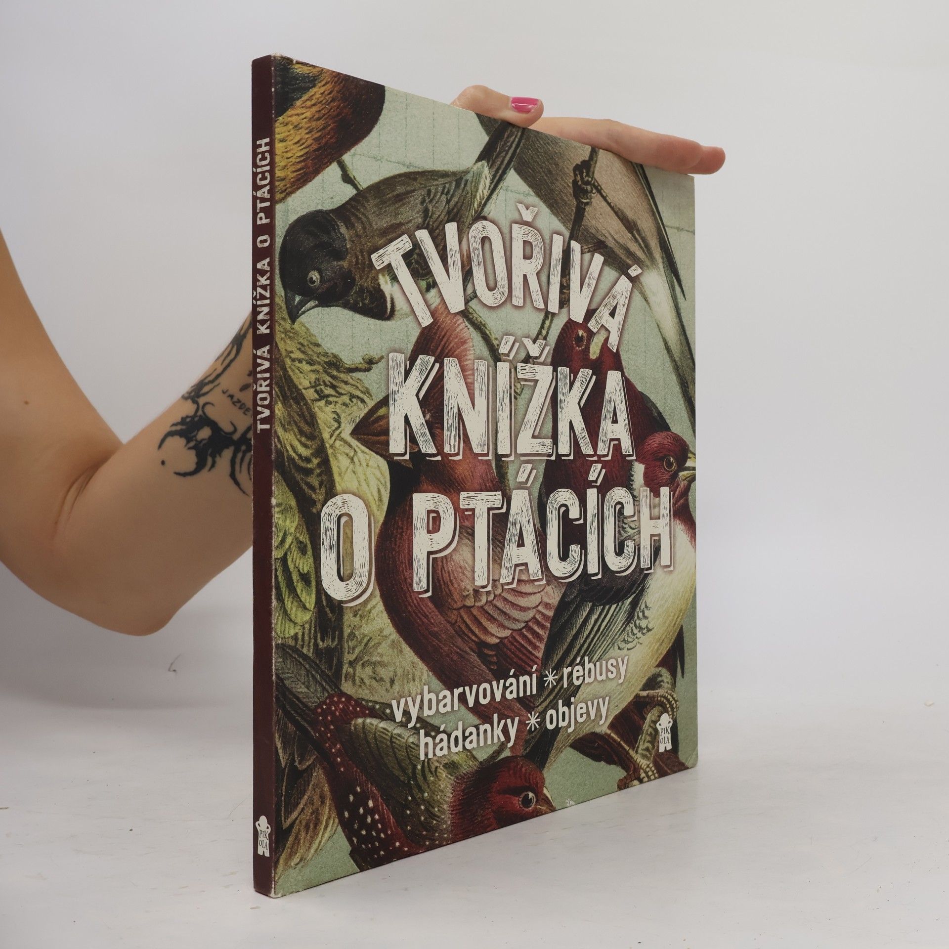 Geert Jan Roebers Tvořivá knížka o ptácích