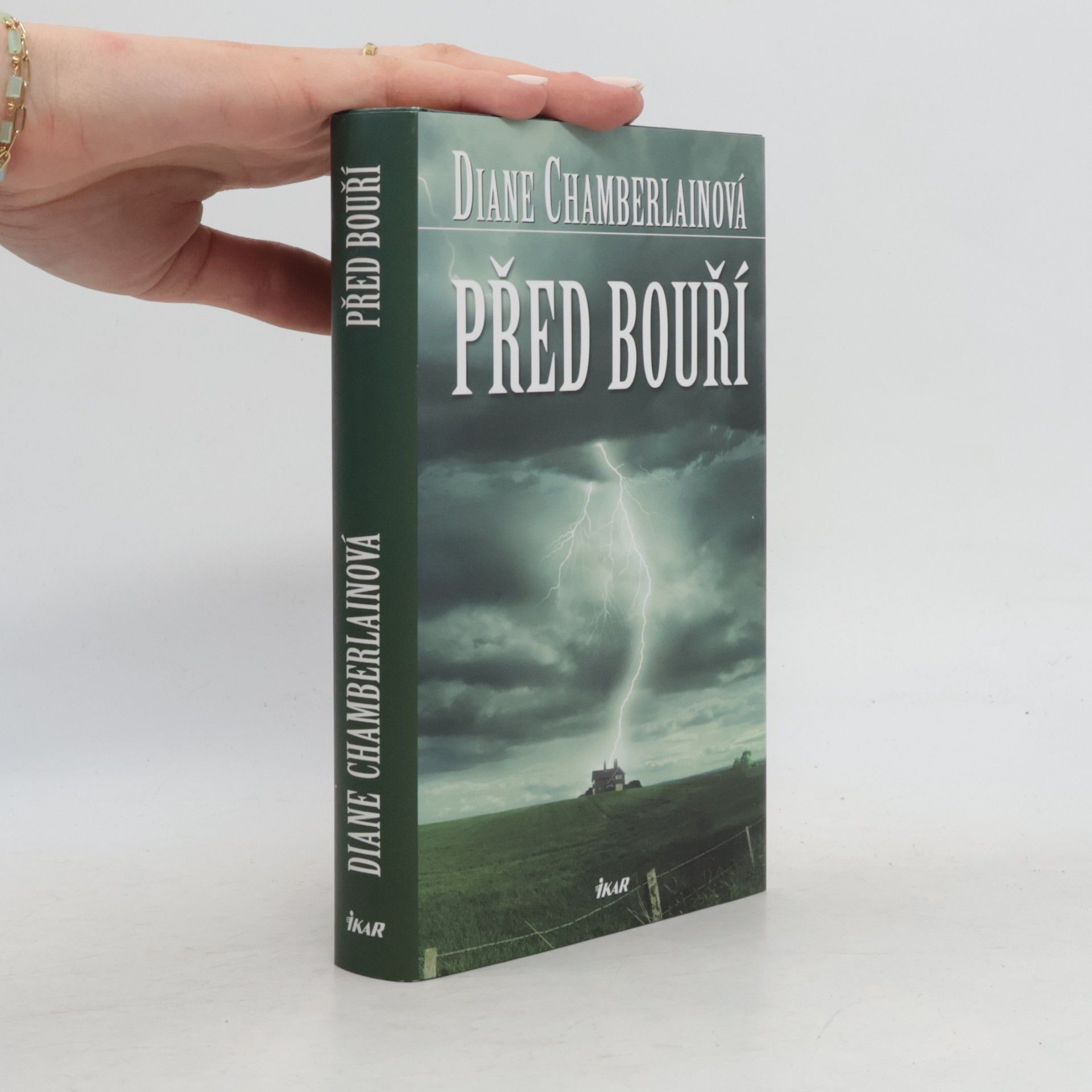 Diane Chamberlain Před bouří