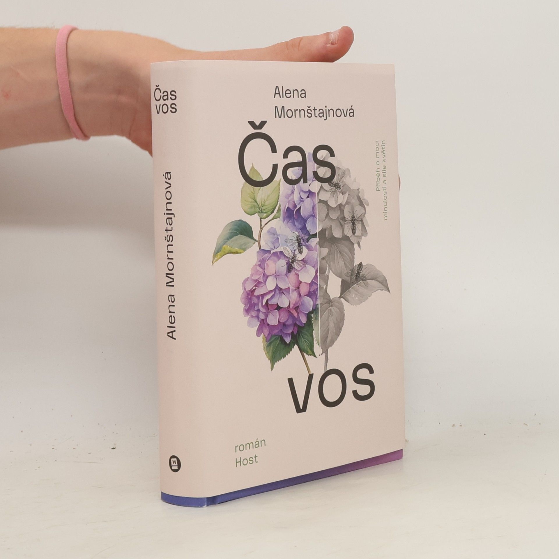 Alena Mornštajnová Čas vos
