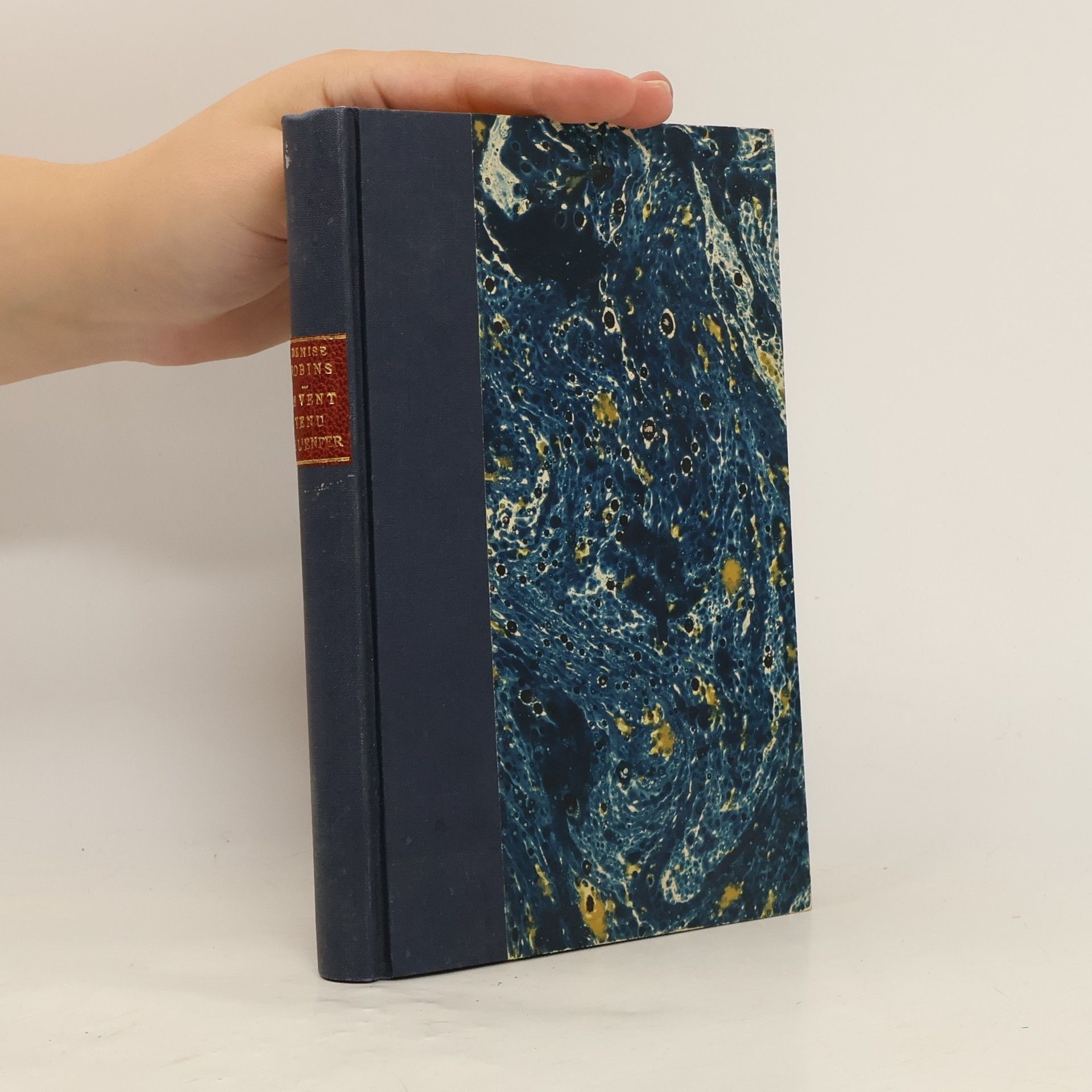 Denise Robins Le Vent venu de l'enfer