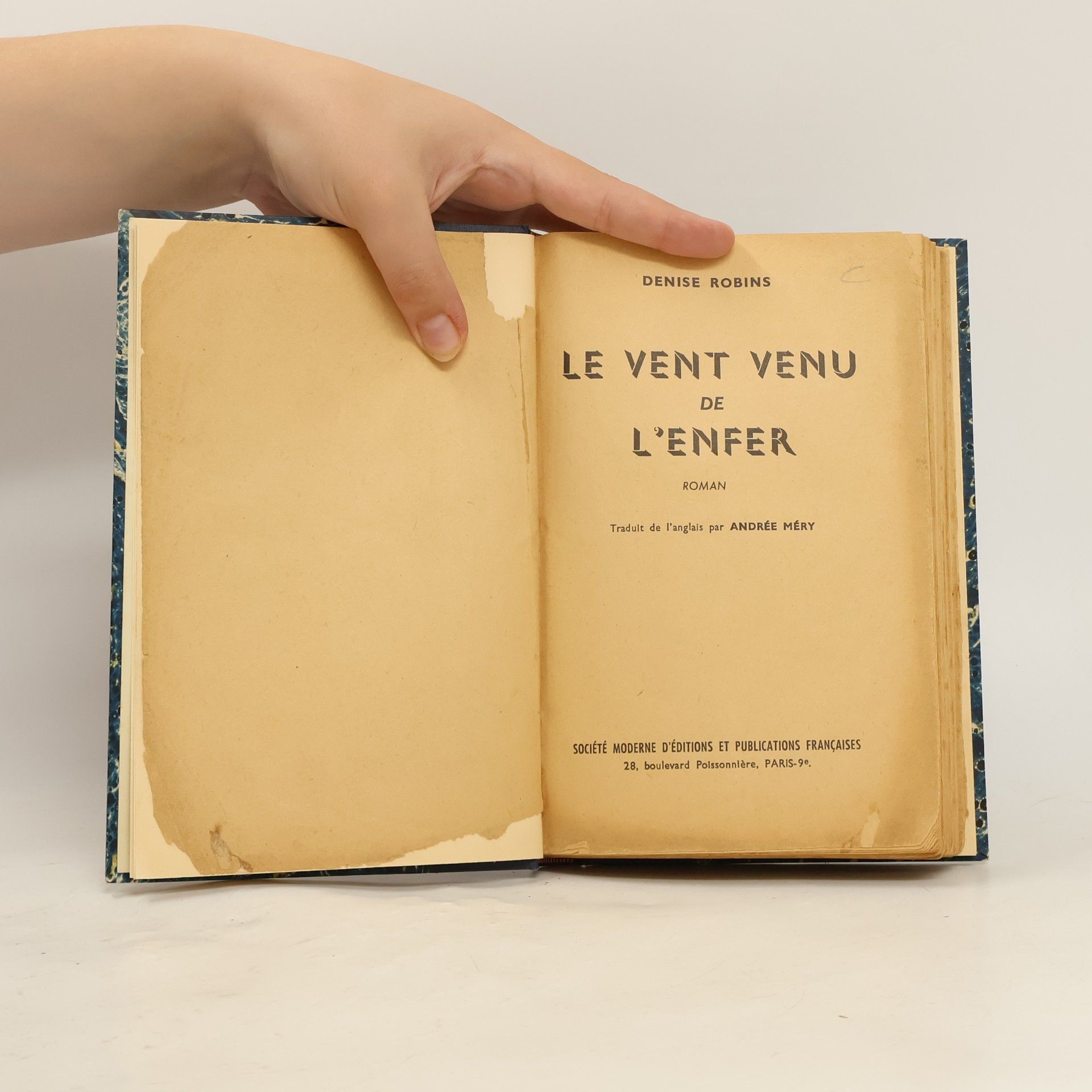 Denise Robins Le Vent venu de l'enfer