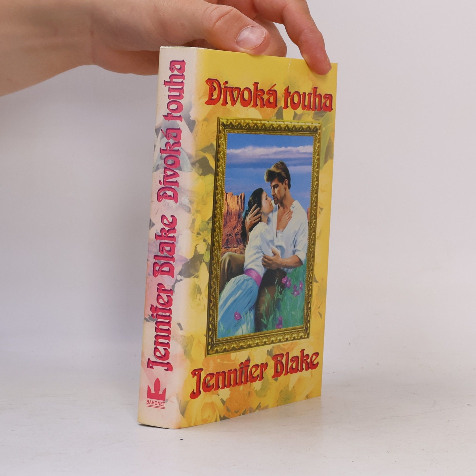 Jennifer Blake Divoká touha