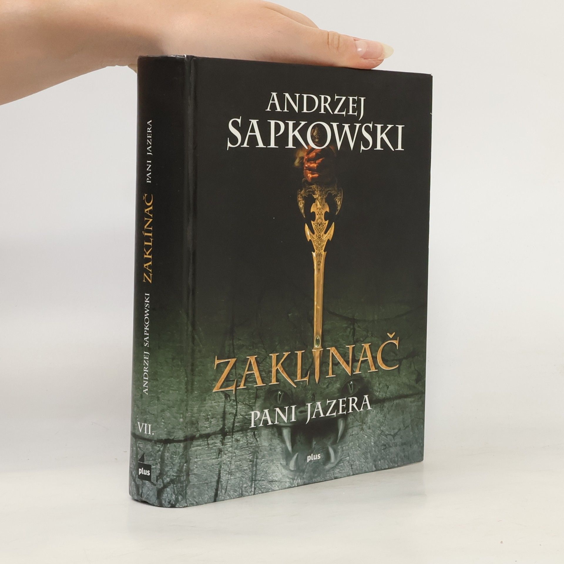 Andrzej Sapkowski Zaklínač. VII, Pani jazera. Slovensky.