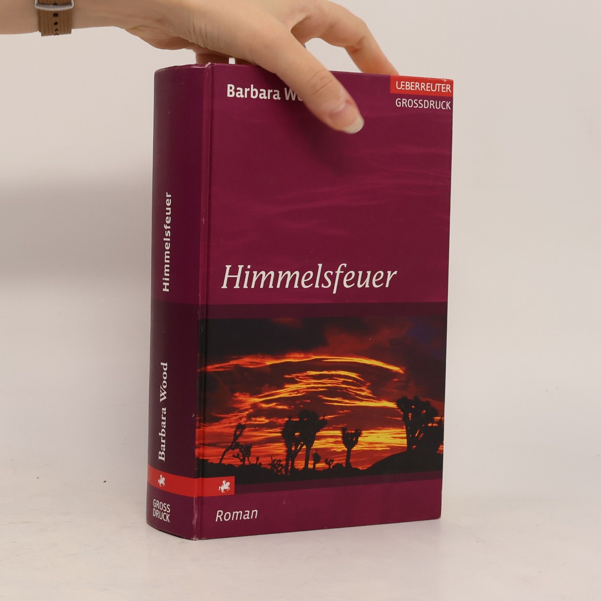 Barbara Wood Himmelsfeuer