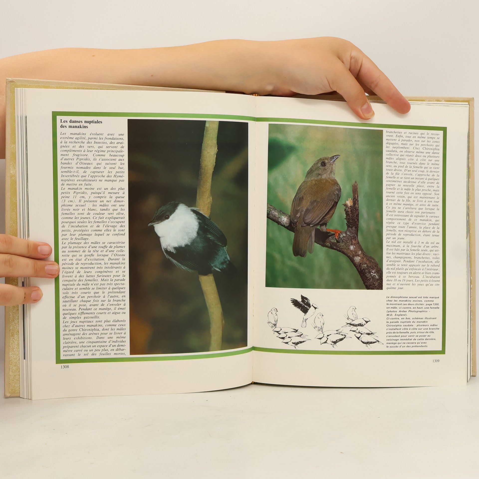 Kolektív autorov Les Animaux 5