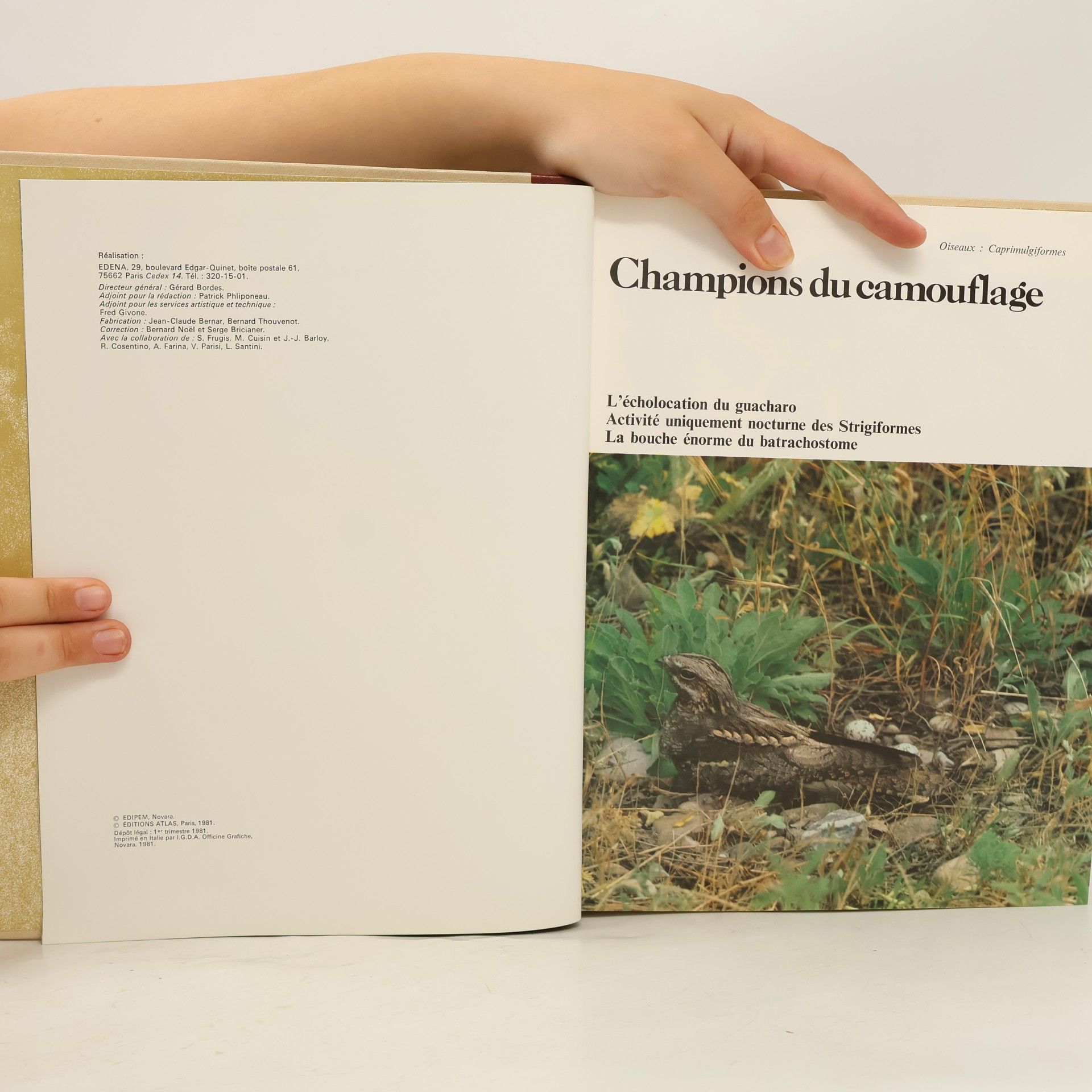 Kolektív autorov Les Animaux 5