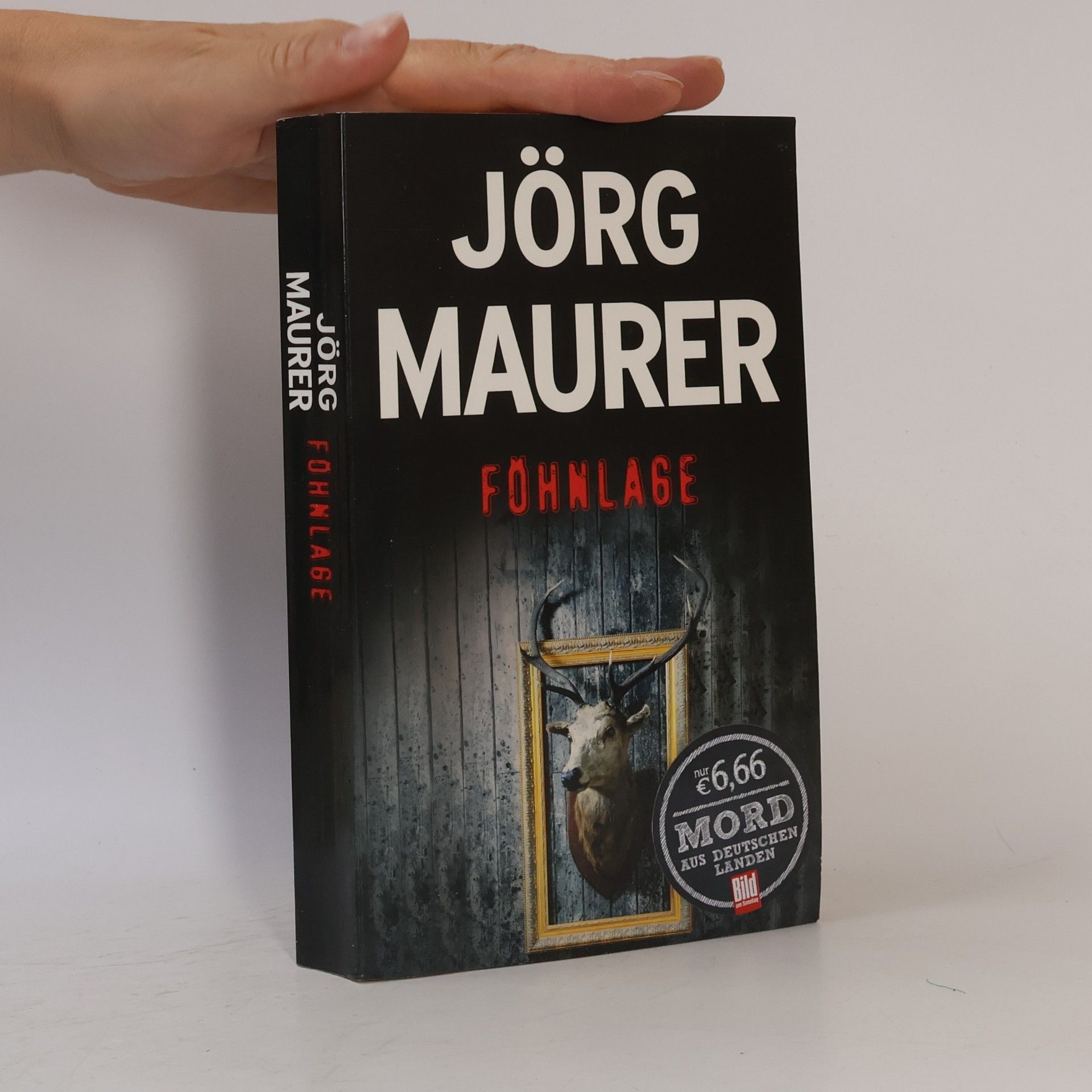 Jörg Maurer Föhnlage