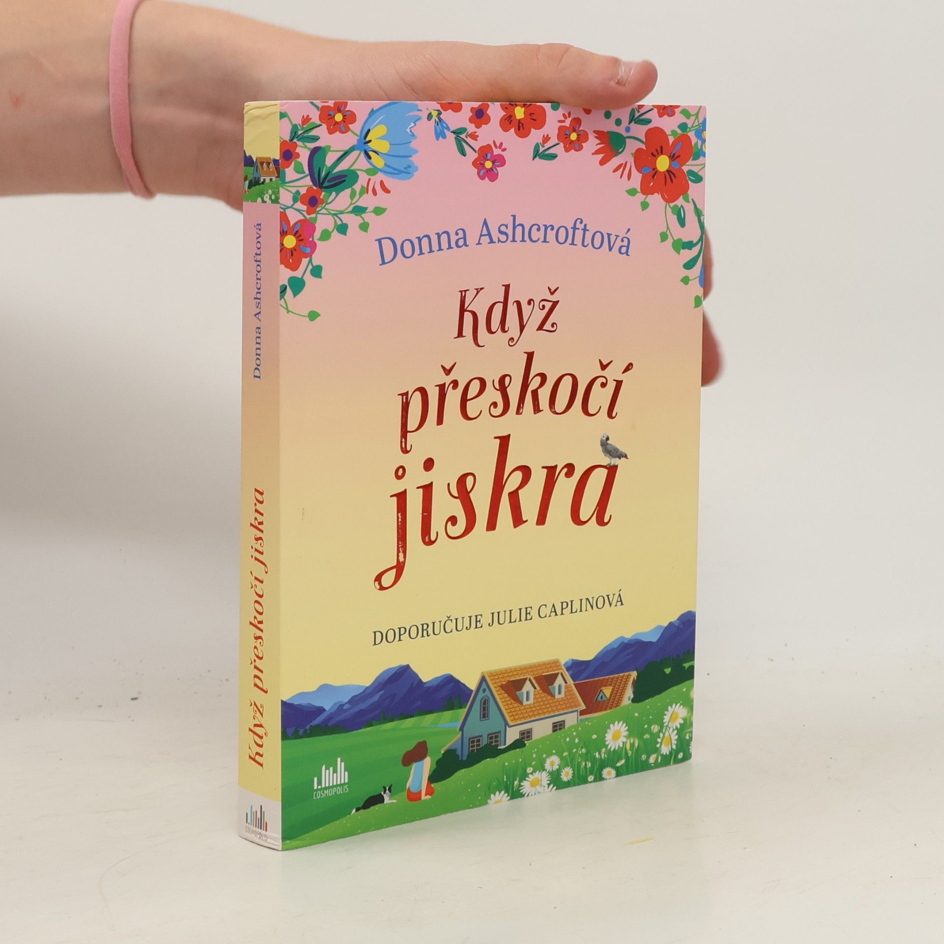 Donna Ashcroft Když přeskočí jiskra