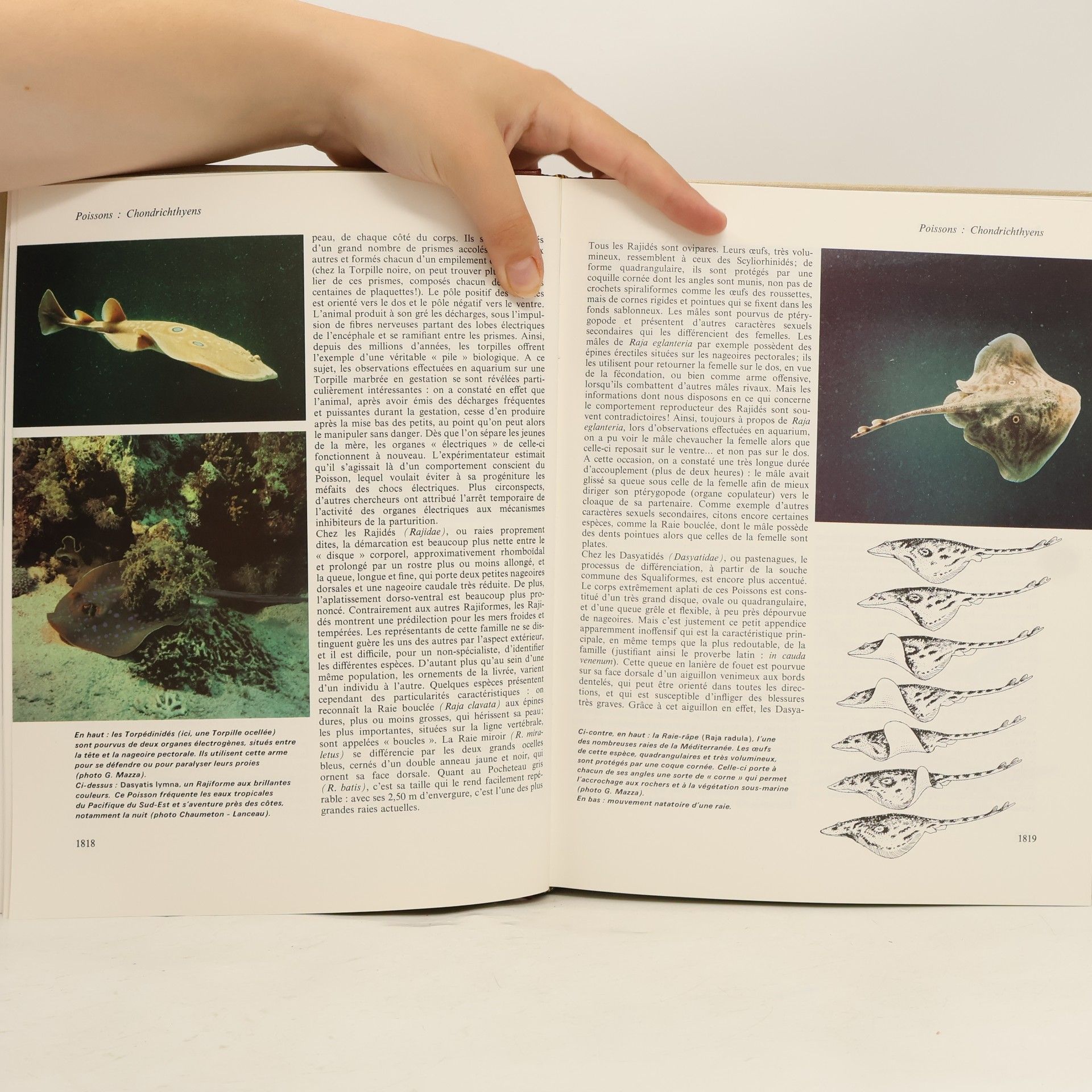 Kolektív autorov La grande encyclopédie Atlas des animaux 7