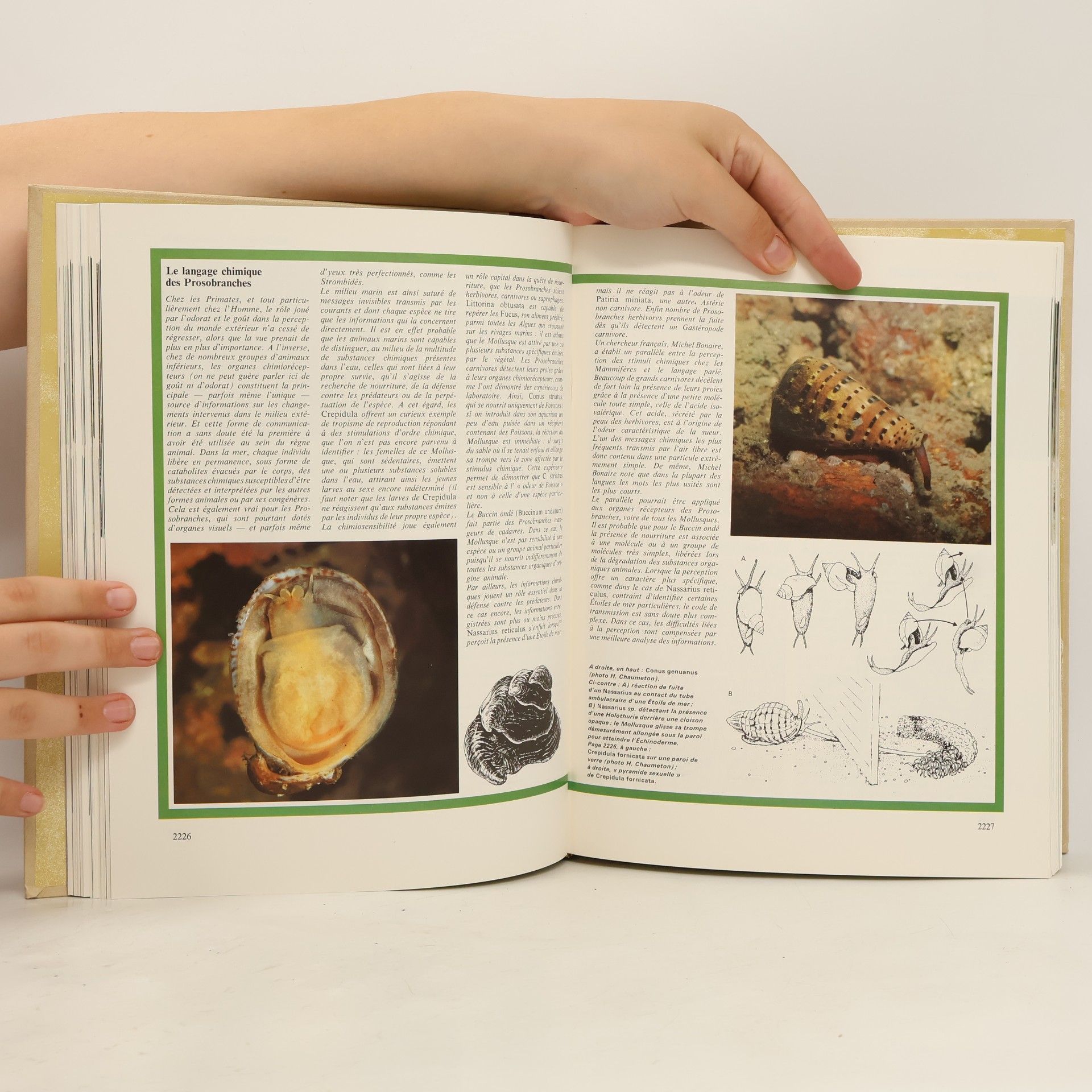 Kolektív autorov La grande encyclopédie Atlas des animaux 8