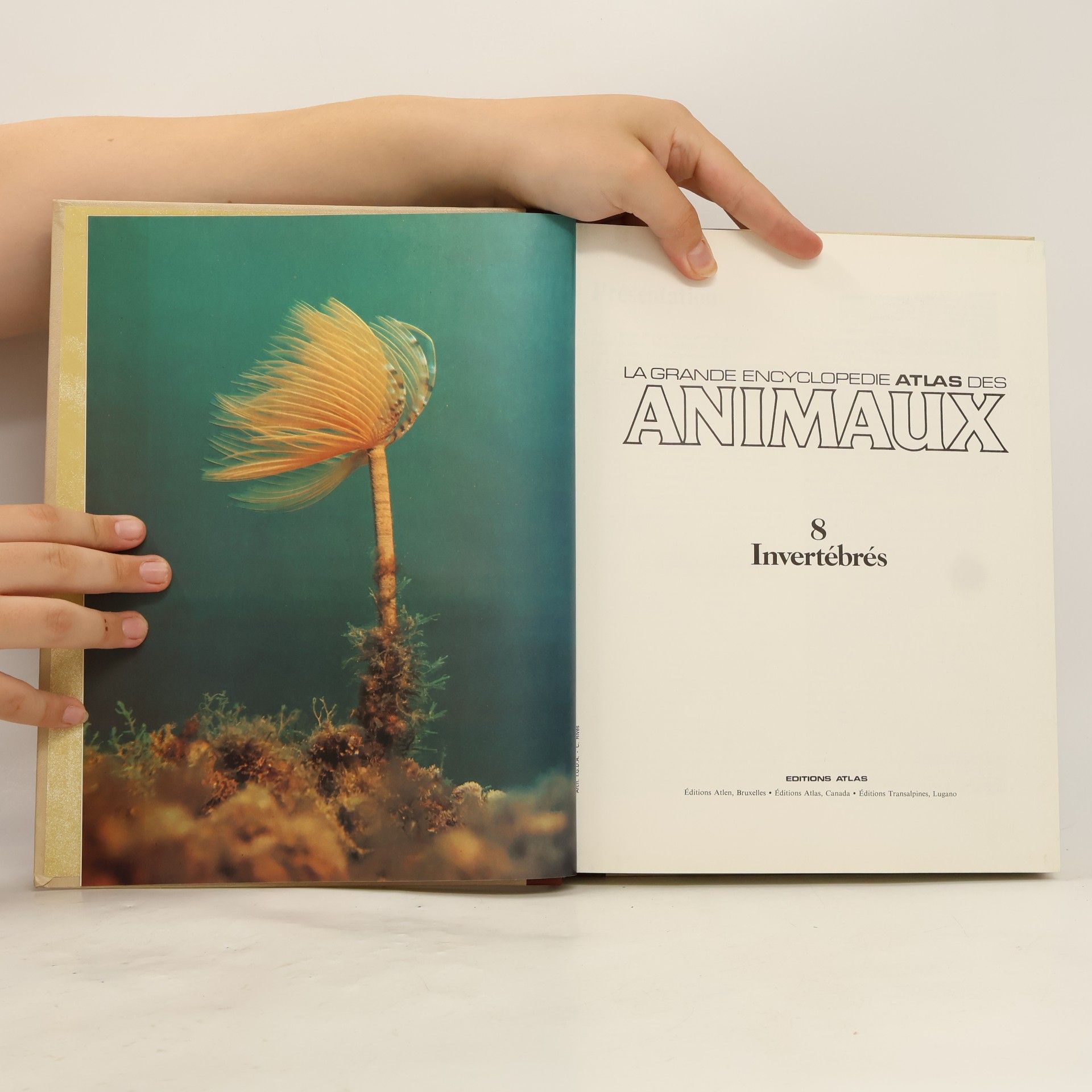 Kolektív autorov La grande encyclopédie Atlas des animaux 8