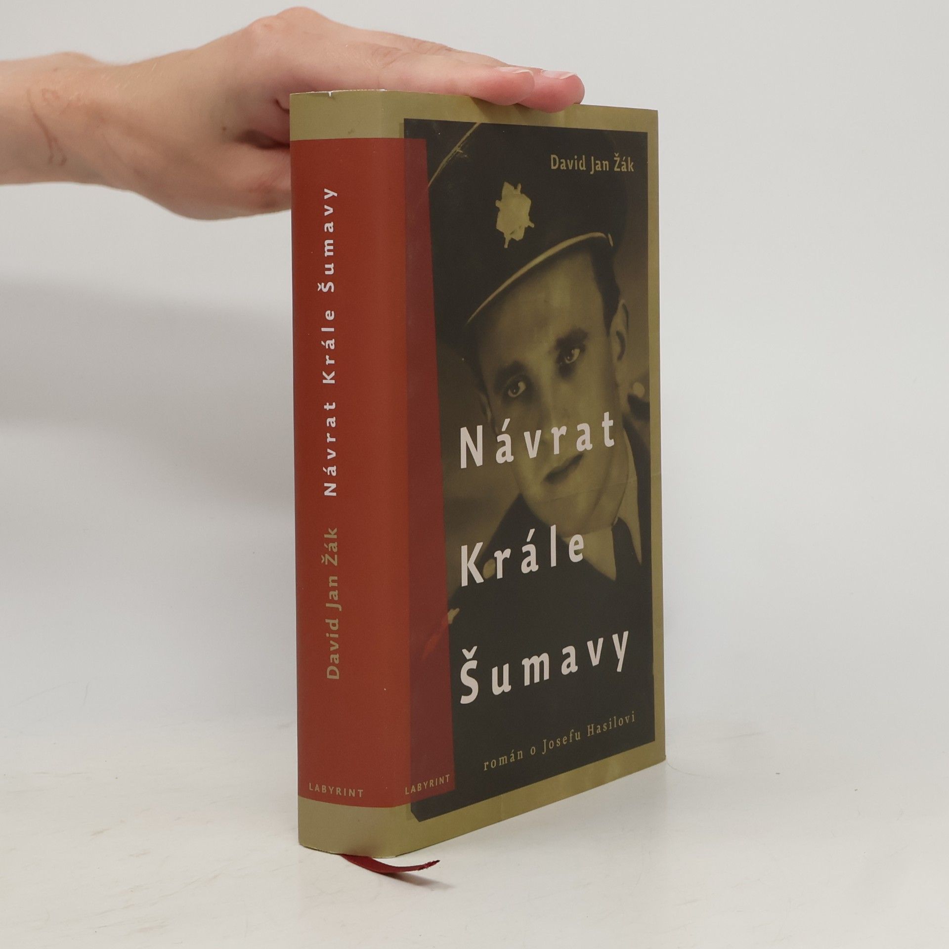 David Jan Žák Návrat Krále Šumavy