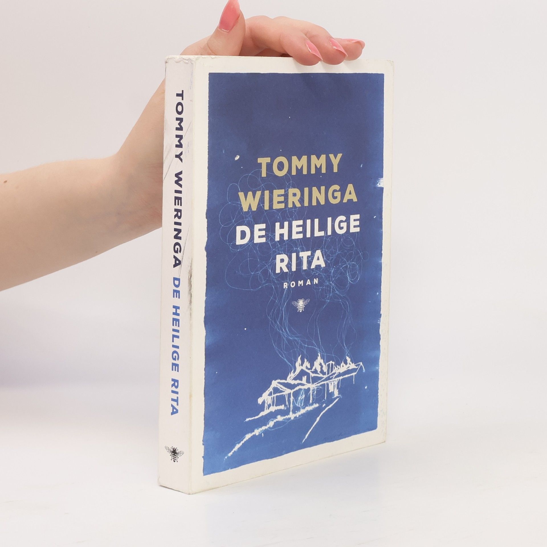 Tommy Wieringa De heilige Rita