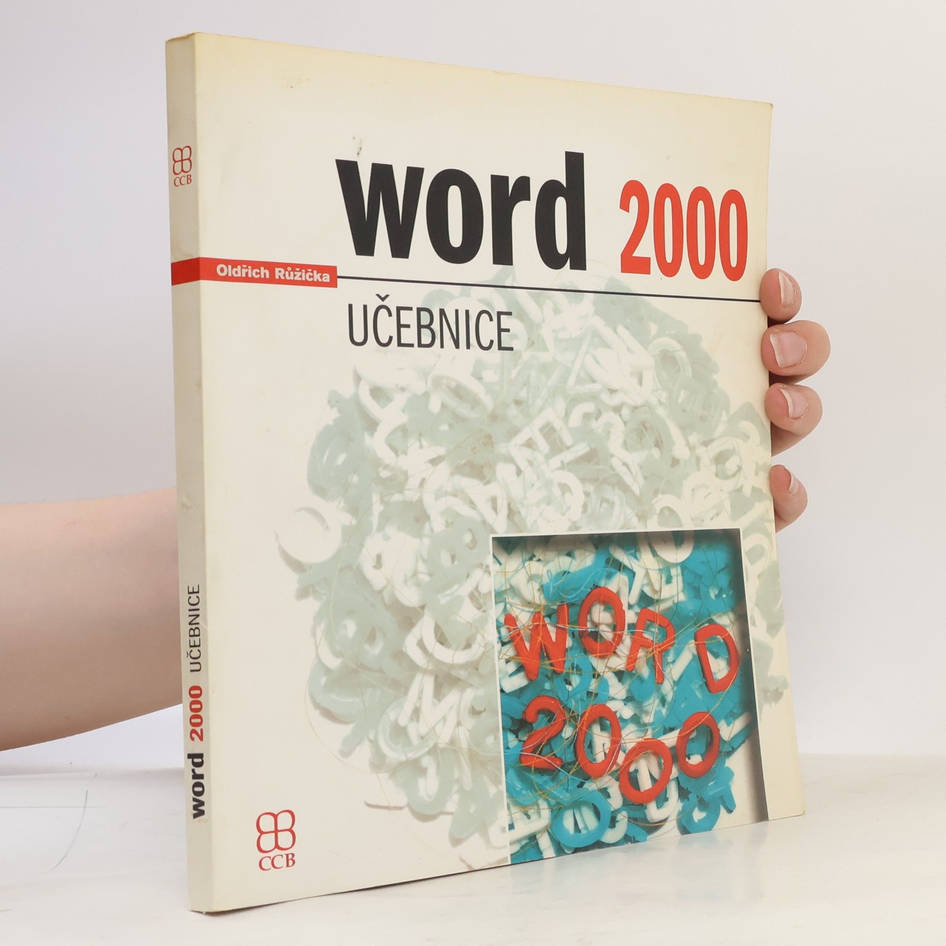 Oldřich Růžička Word 2000 učebnice