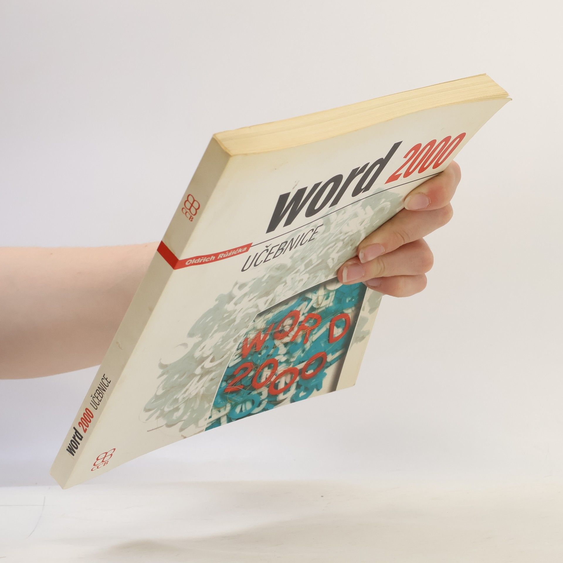Oldřich Růžička Word 2000 učebnice