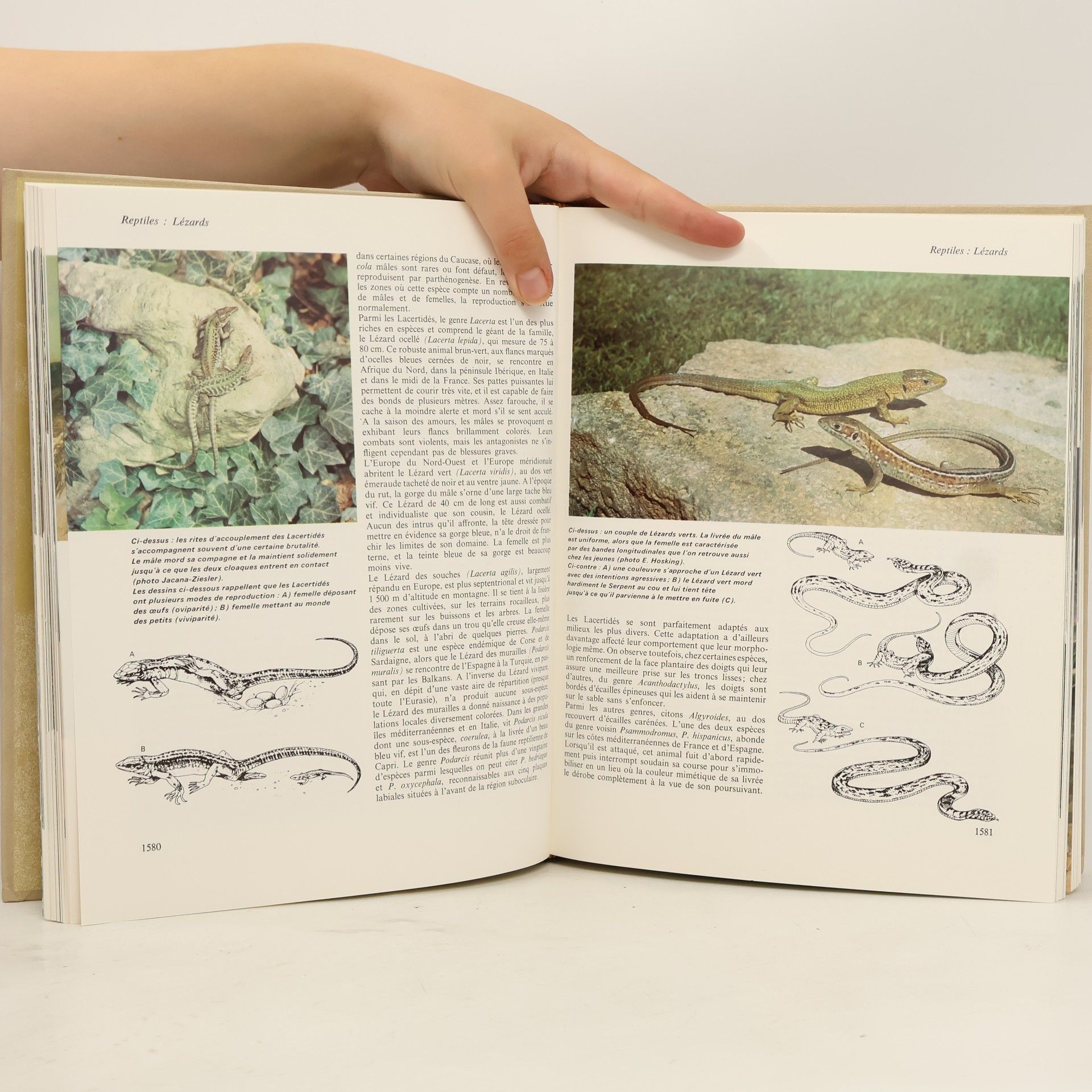 Kolektív autorov La grande encyclopédie Atlas des animaux 6