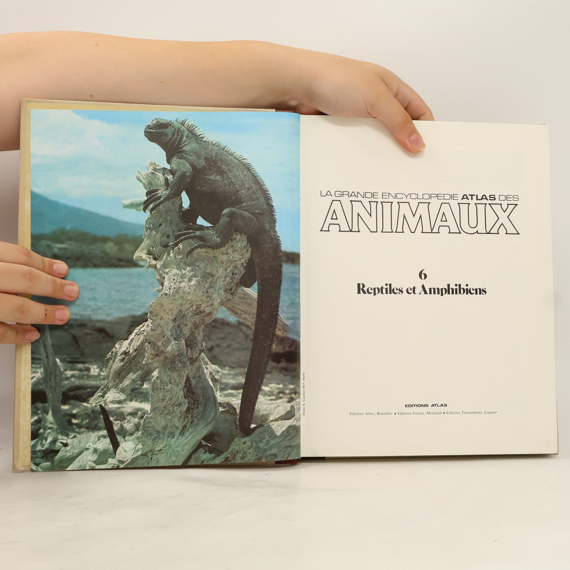 Kolektív autorov La grande encyclopédie Atlas des animaux 6