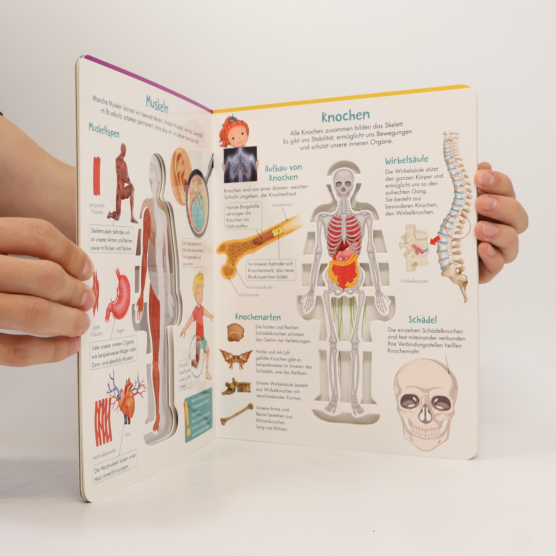 Trötsch Verlag Trötsch Kinderbuch Unser Körper