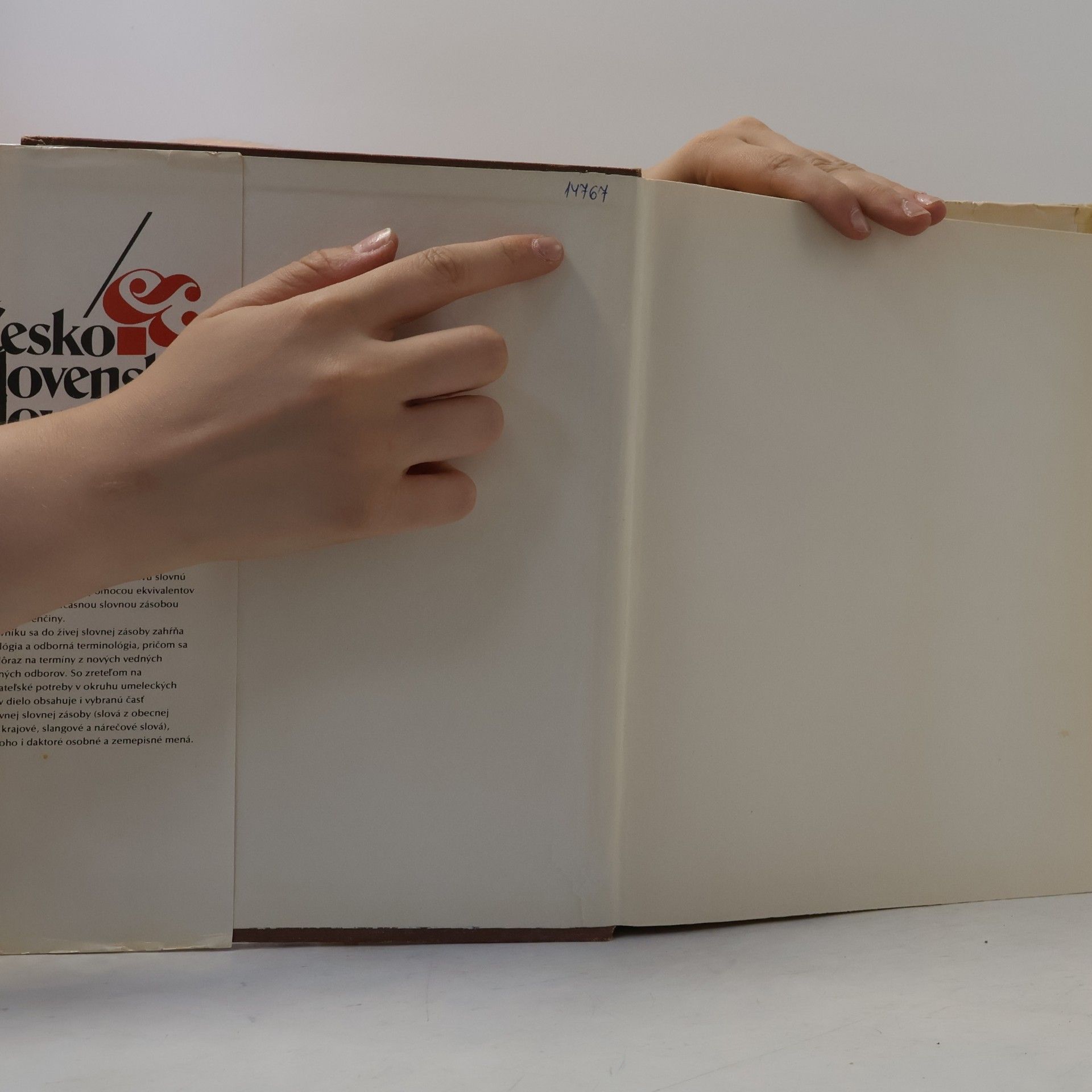 Kolektiv autorů Česko-slovenský slovník