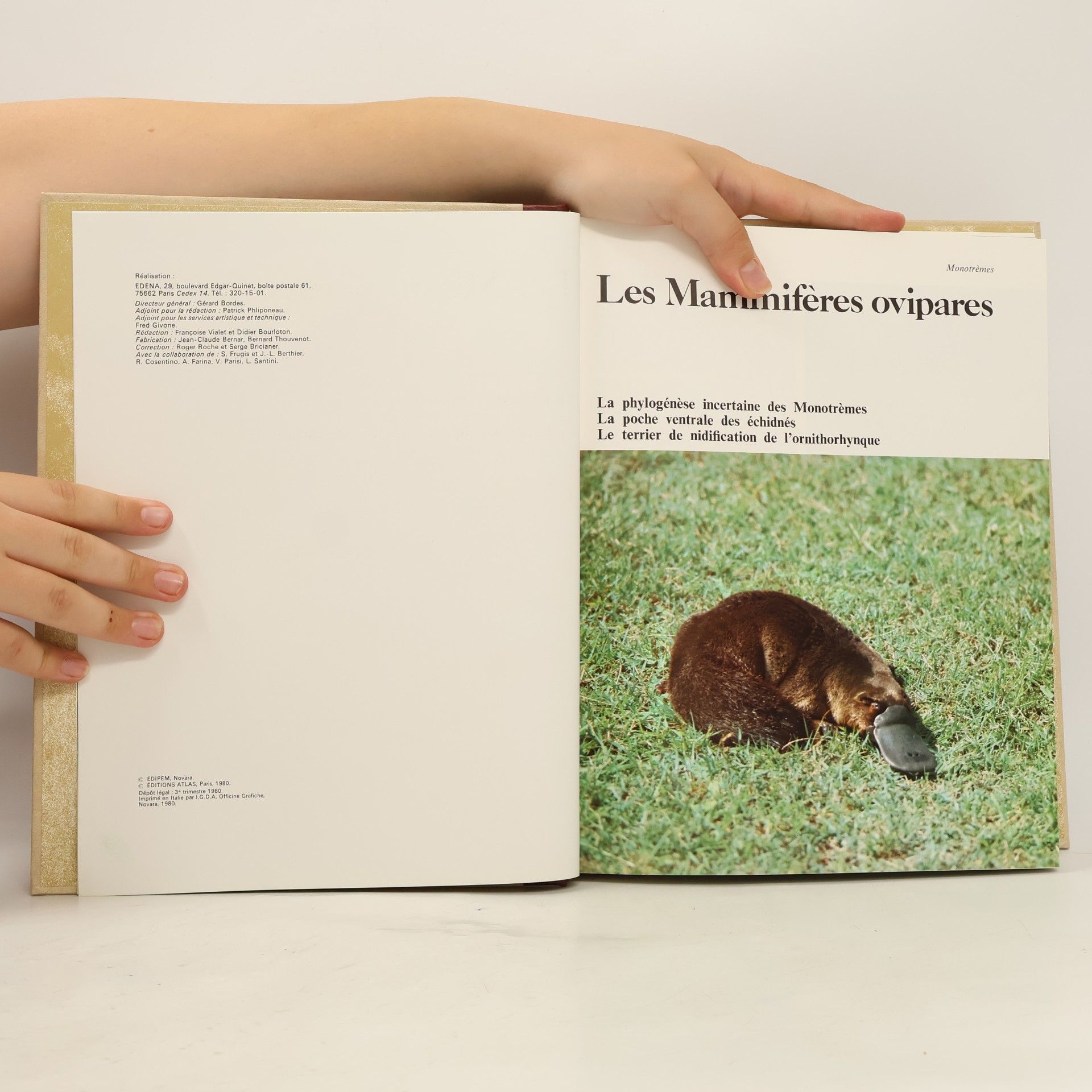 Kolektív autorov La grande encyclopédie Atlas des animaux 3