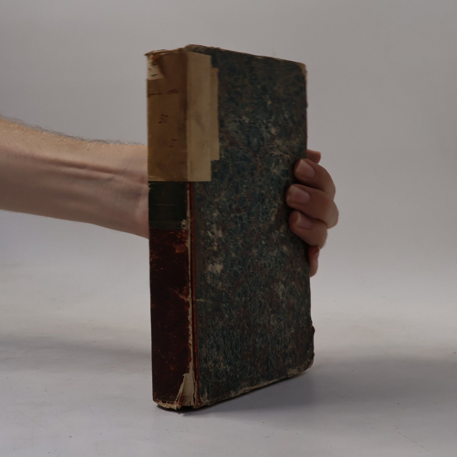 Historie literatury české