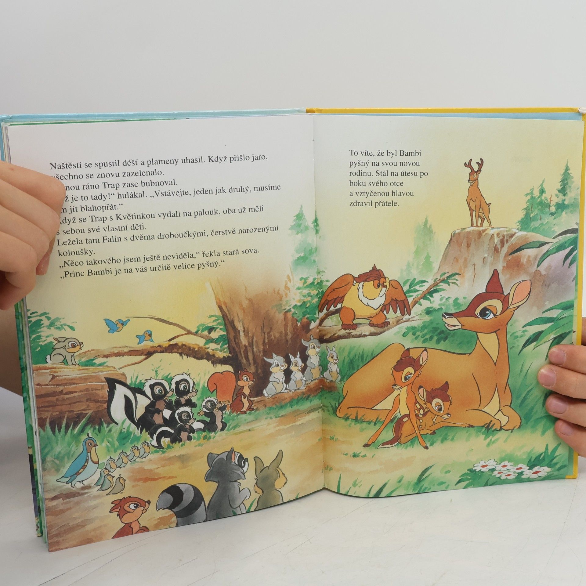 Walt Disney Bambi