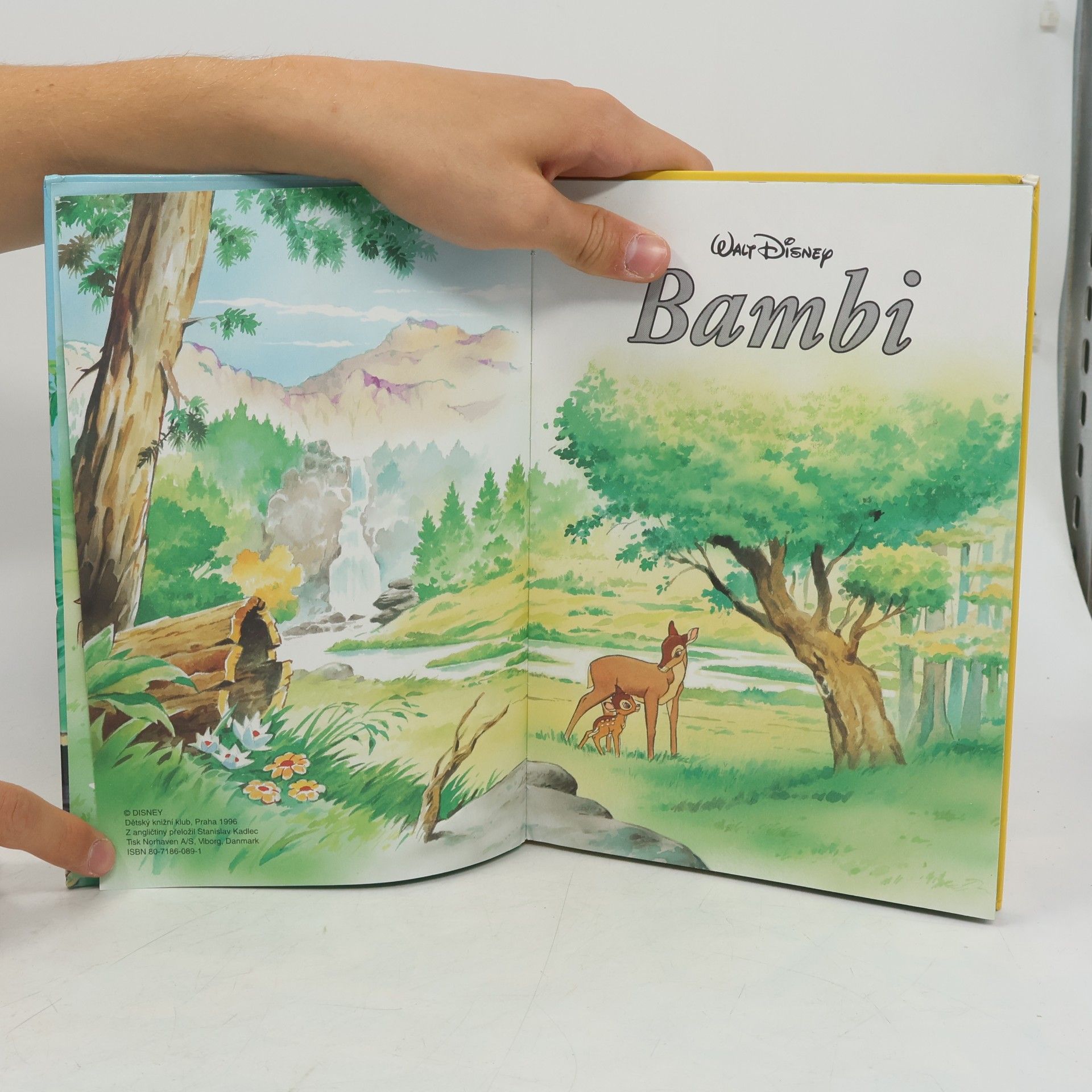 Walt Disney Bambi