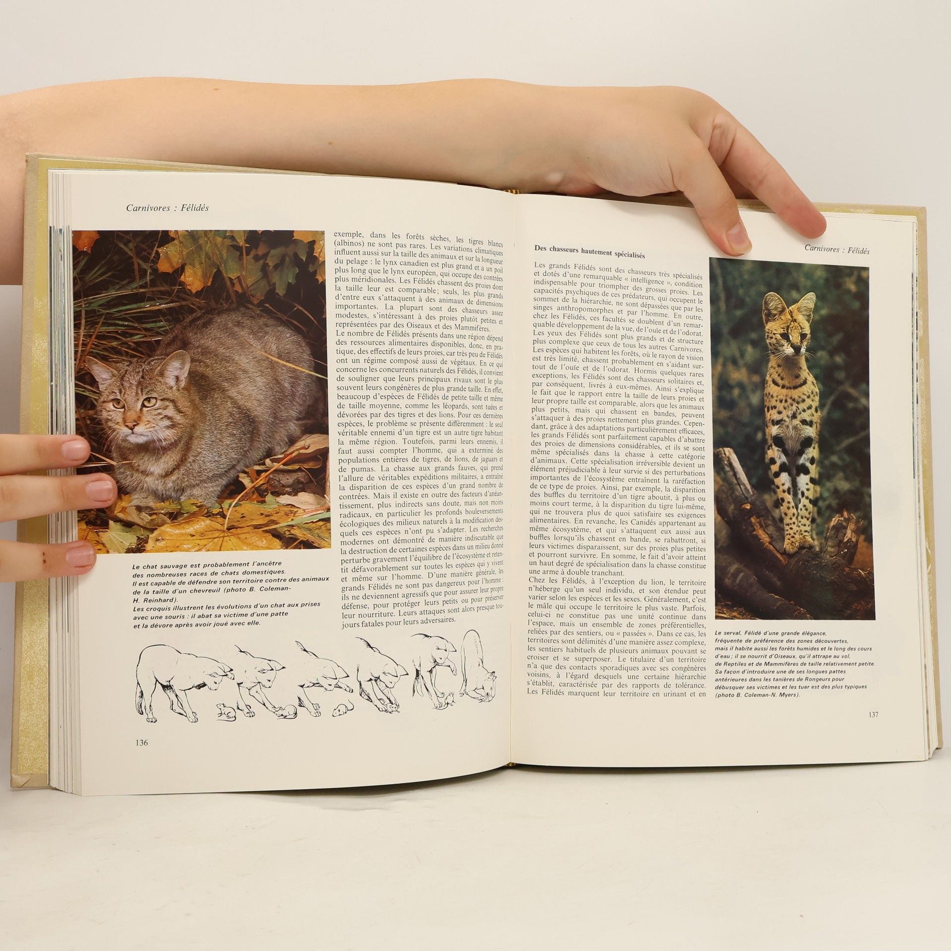 Kolektív autorov La grande encyclopédie Atlas des animaux 1