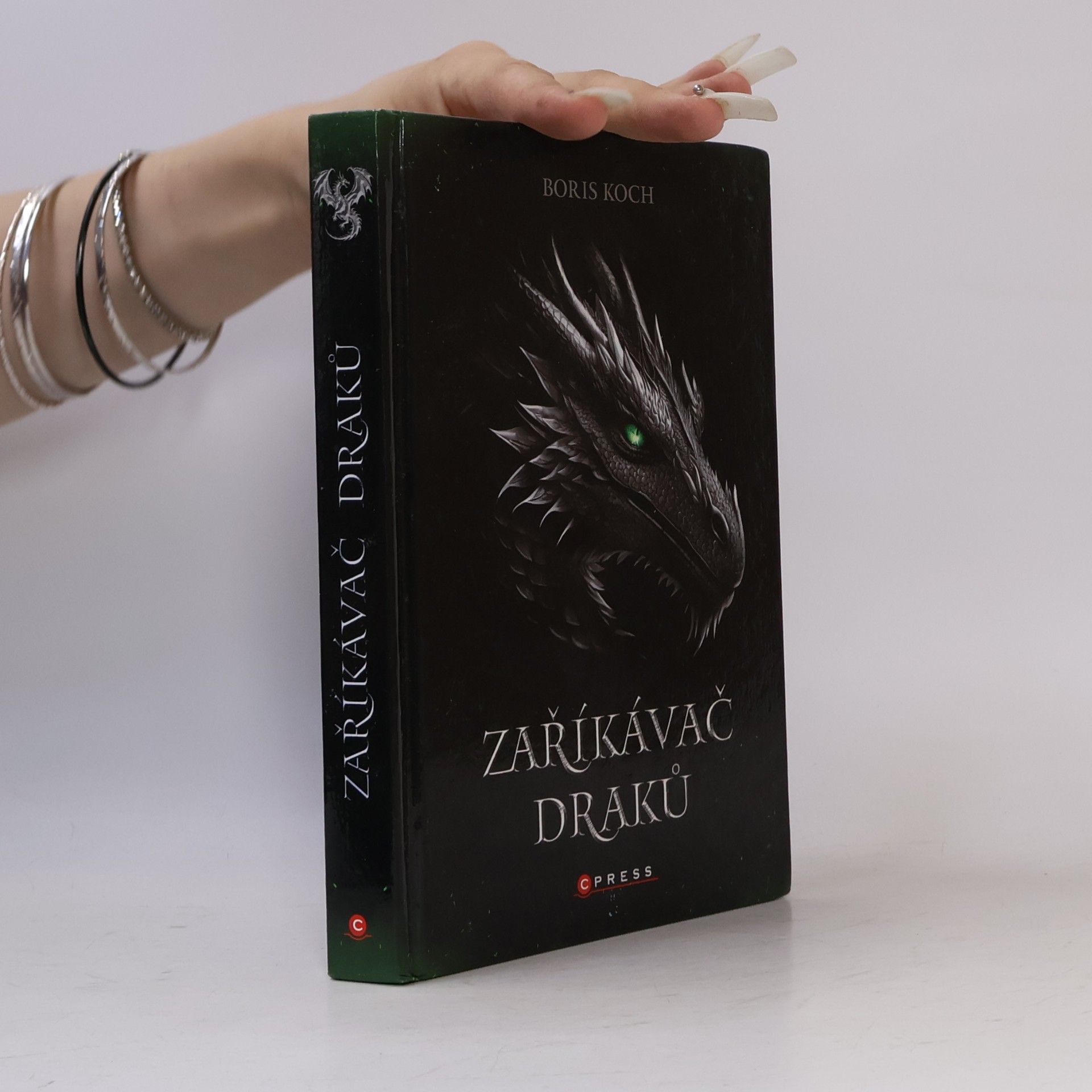 Boris Koch Zaříkávač draků