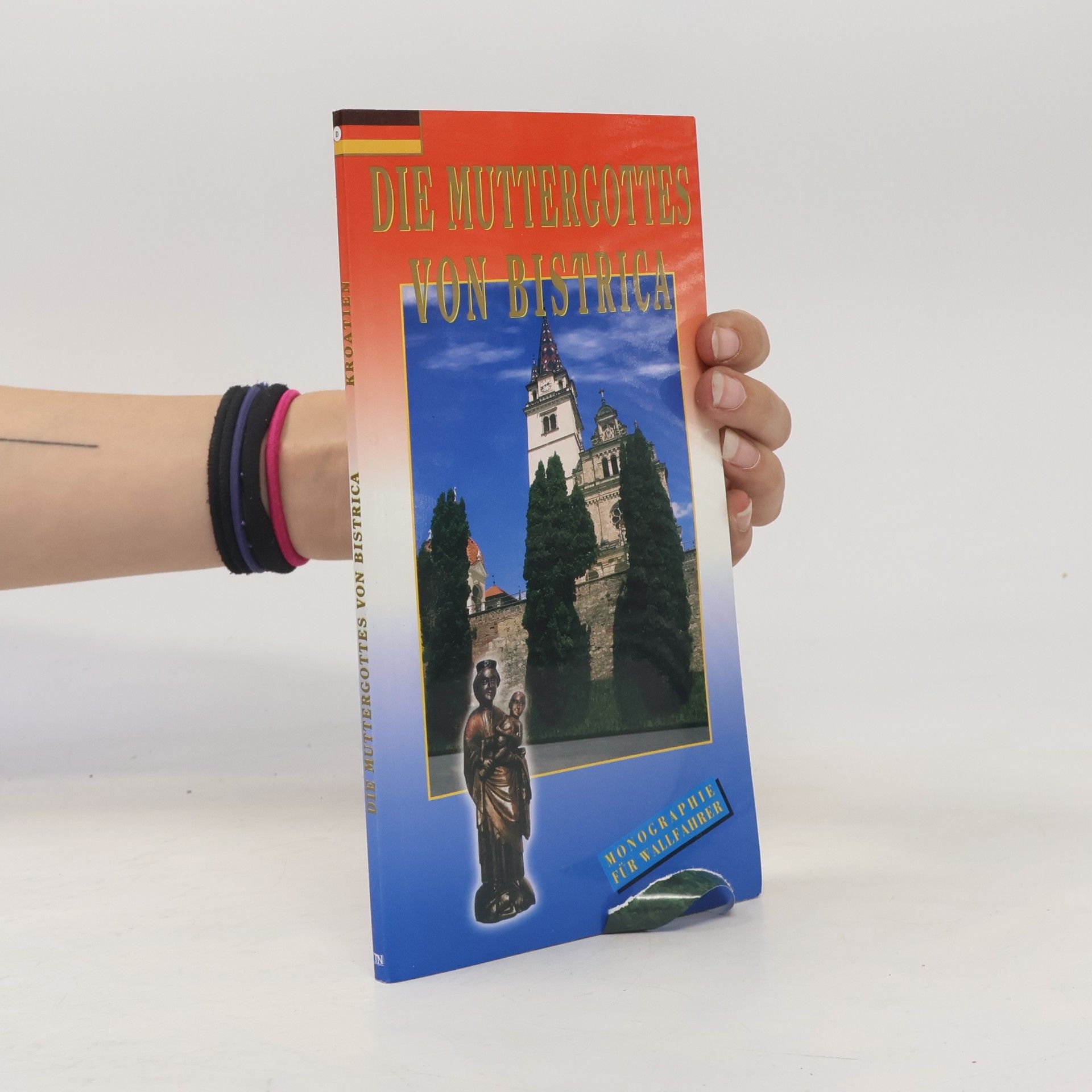 Kolektiv autorů Die Muttergottes von Bistrica