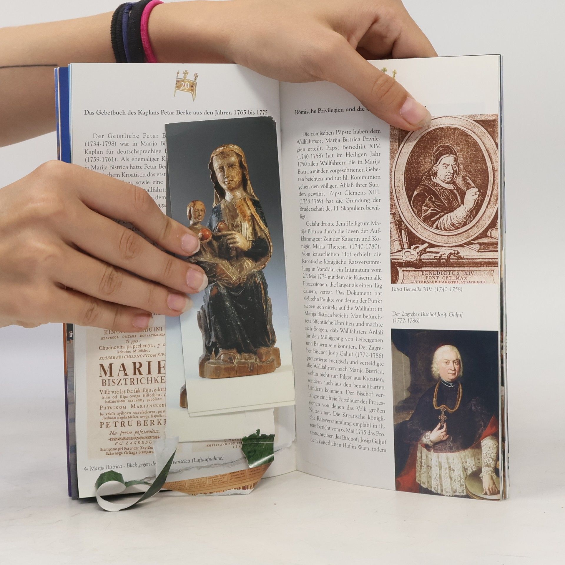 Kolektiv autorů Die Muttergottes von Bistrica
