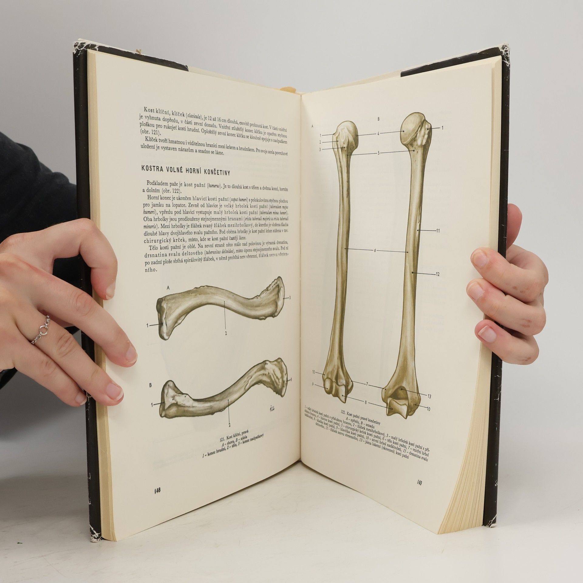 Jaroslav Fleischmann Anatomie člověka I