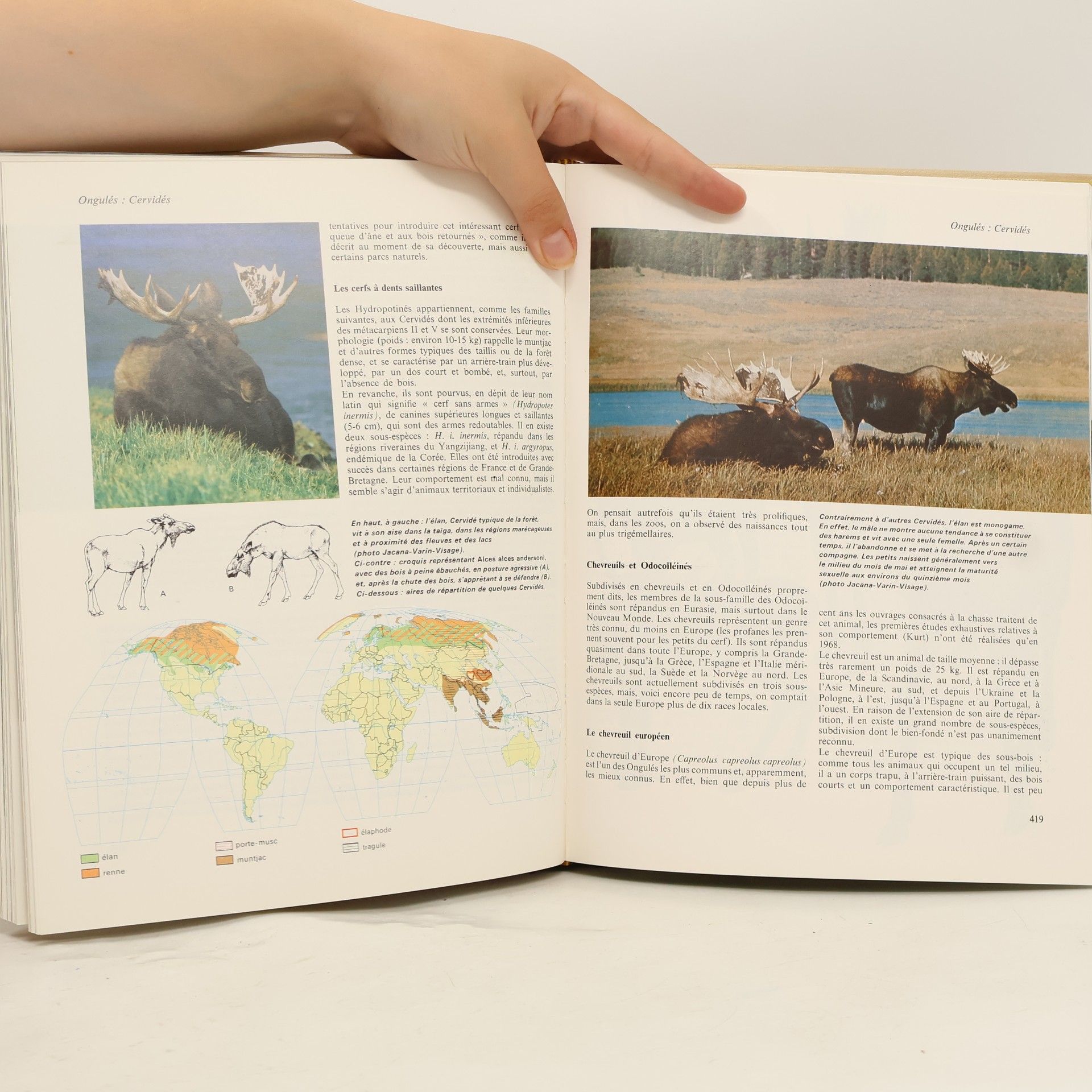 Kolektív autorov La grande encyclopédie Atlas des animaux 2
