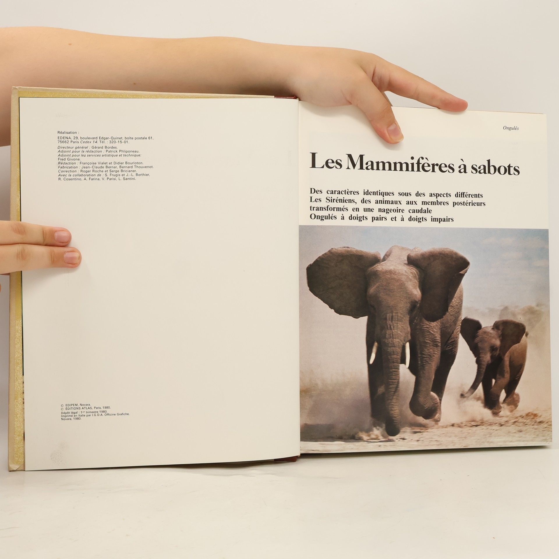 Kolektív autorov La grande encyclopédie Atlas des animaux 2