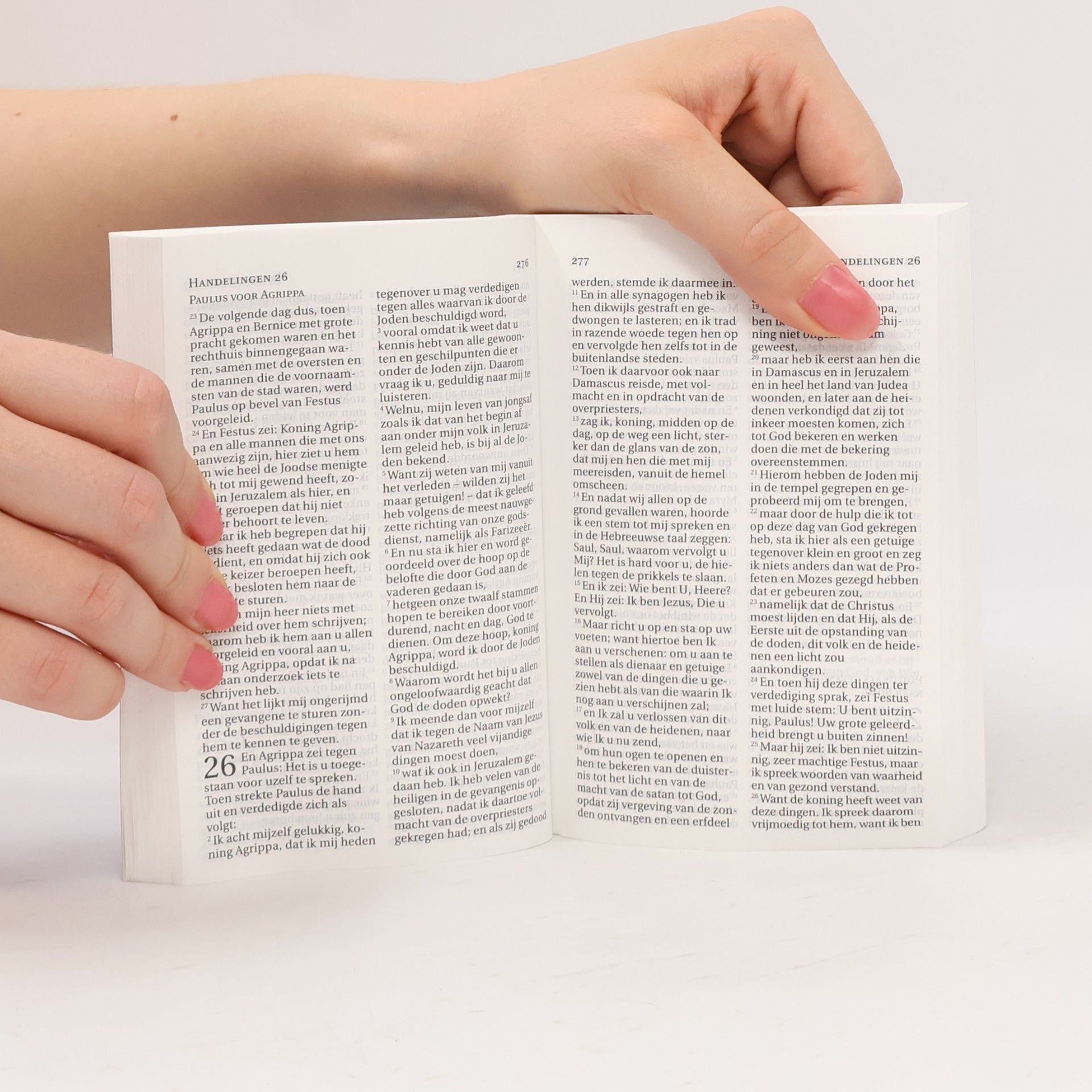 Autores varios Het Nieuwe Testament. The New Testament