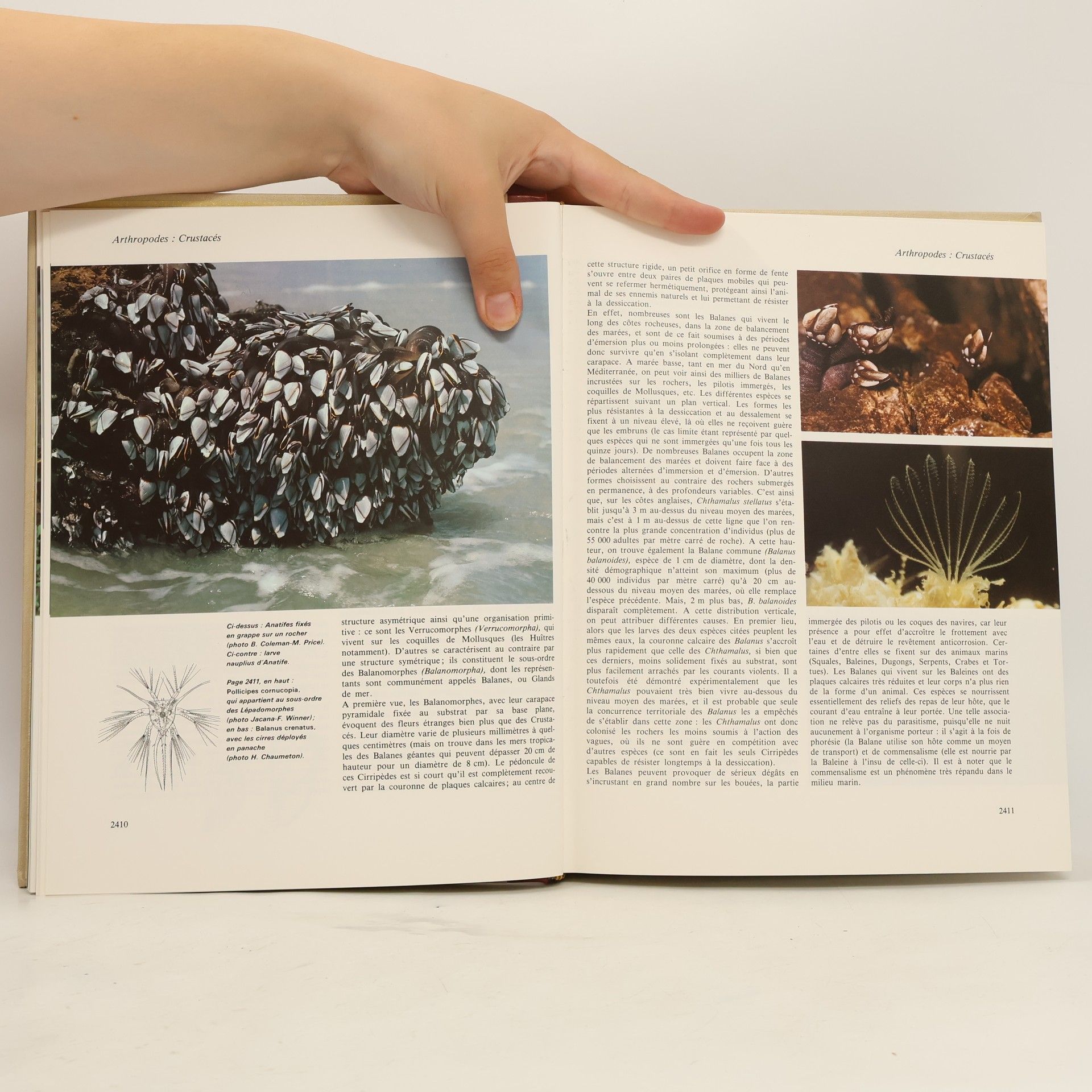 Kolektív autorov La grande encyclopédie Atlas des animaux 9