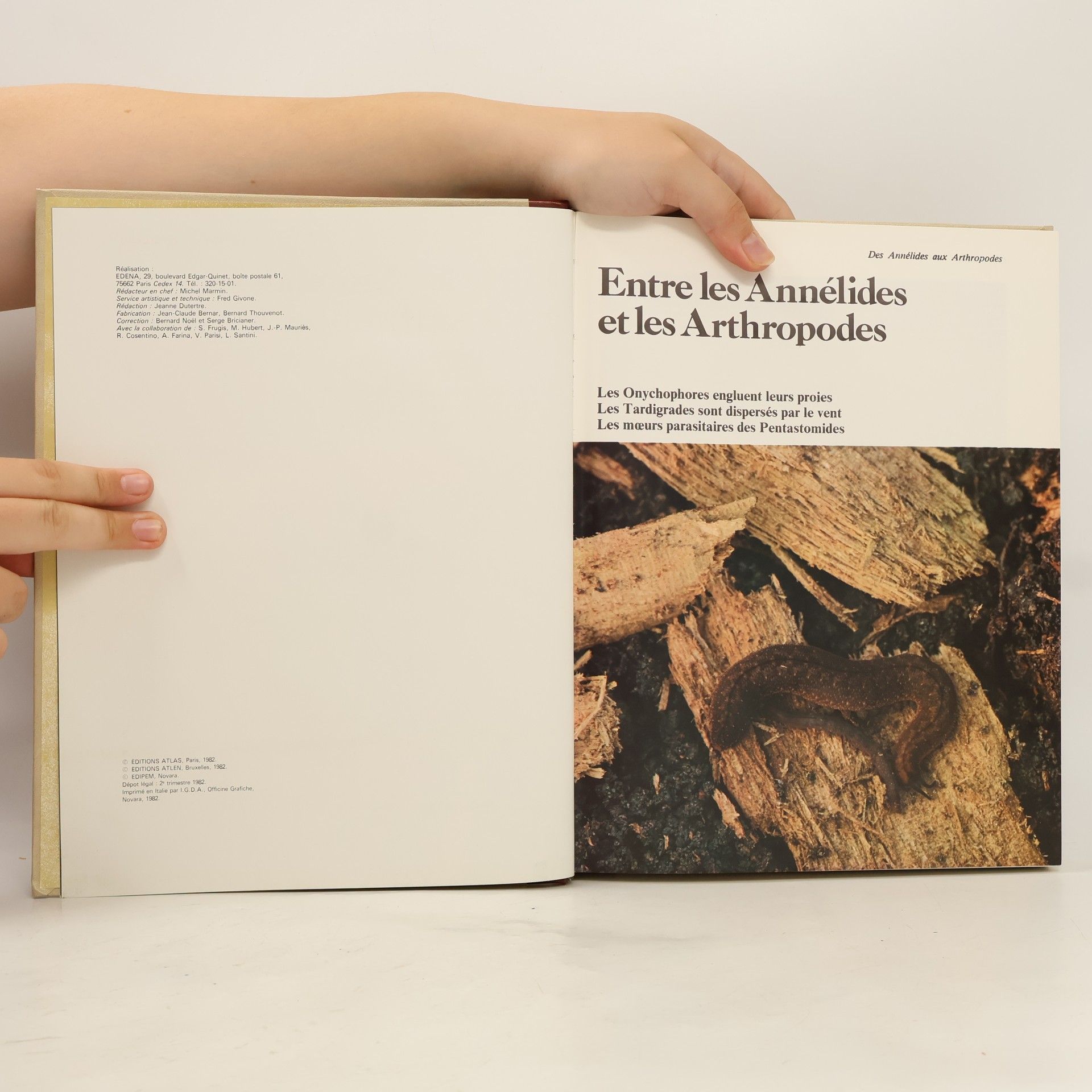 Kolektív autorov La grande encyclopédie Atlas des animaux 9
